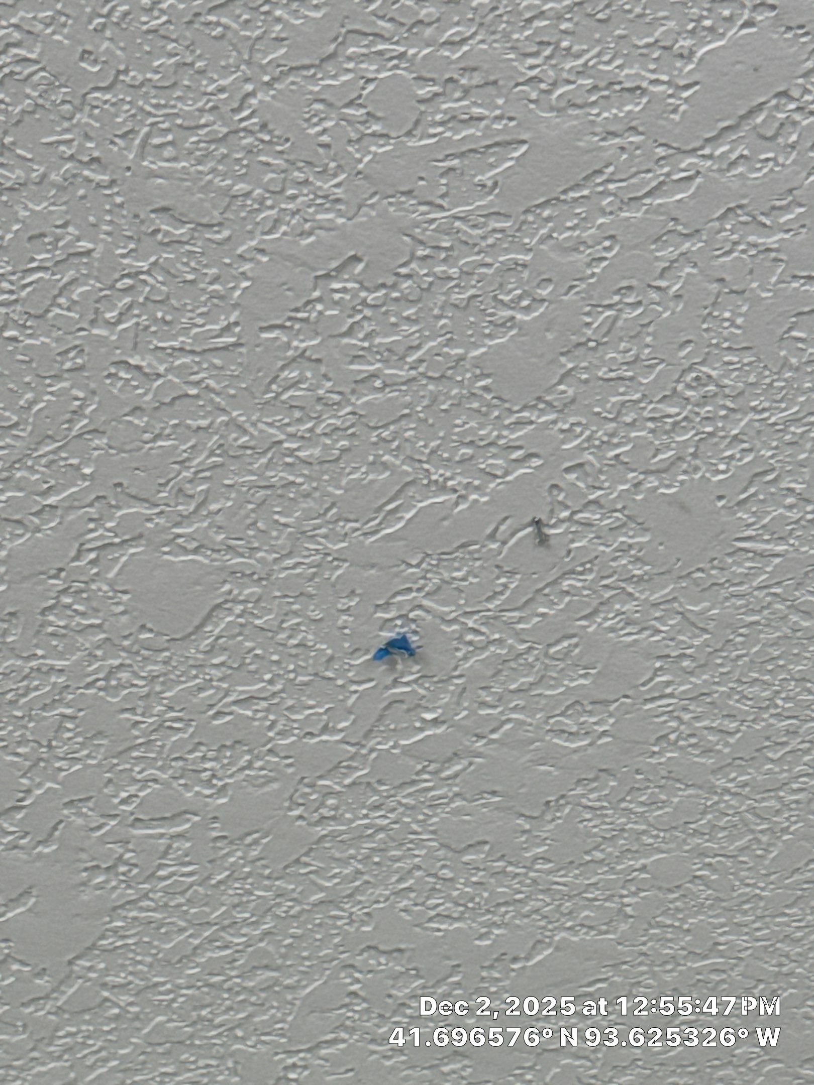 Project in Ankeny, IA by Midwest Paint LLC
