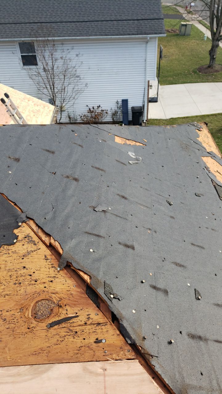 Springfield: CertainTeed Landmark Designer Shingles in Burnt Sienna by RM Banning, Inc.