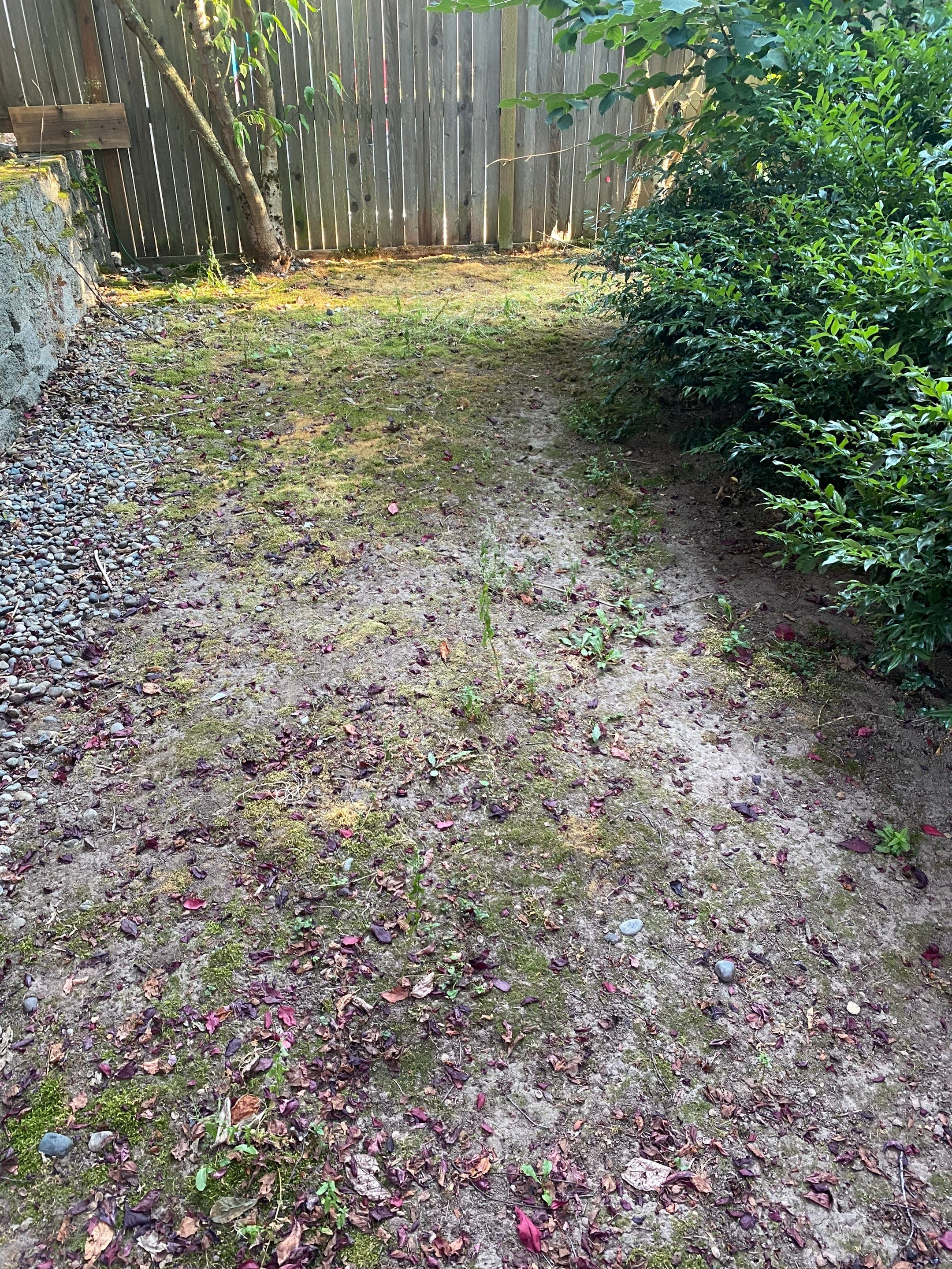 Small Patio Makeover in Lynnwood by Jireh Asphalt & Concrete Inc