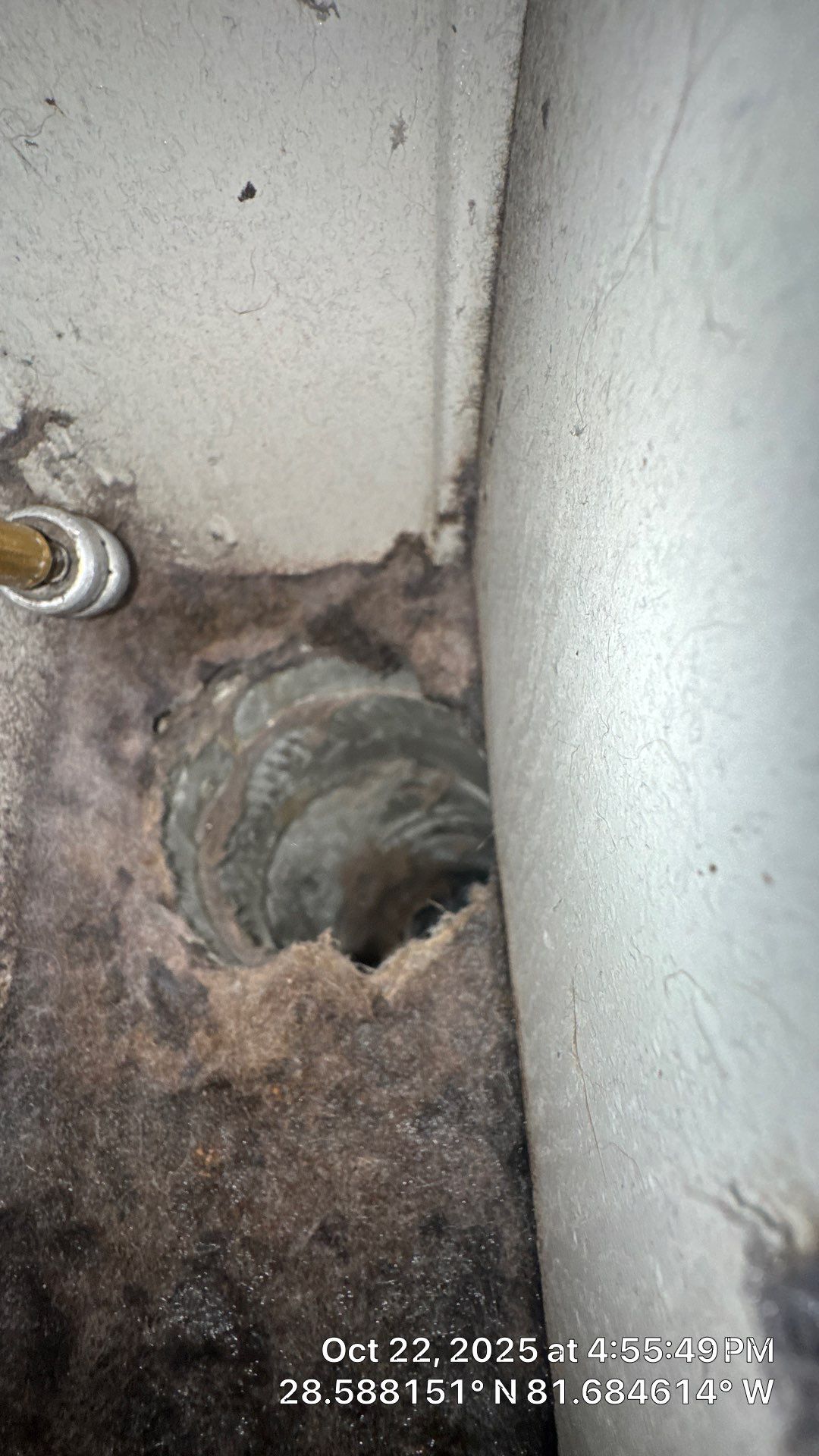 Air Duct and Dryer Vent Cleaning in Montverde by Hygienic Air, Inc