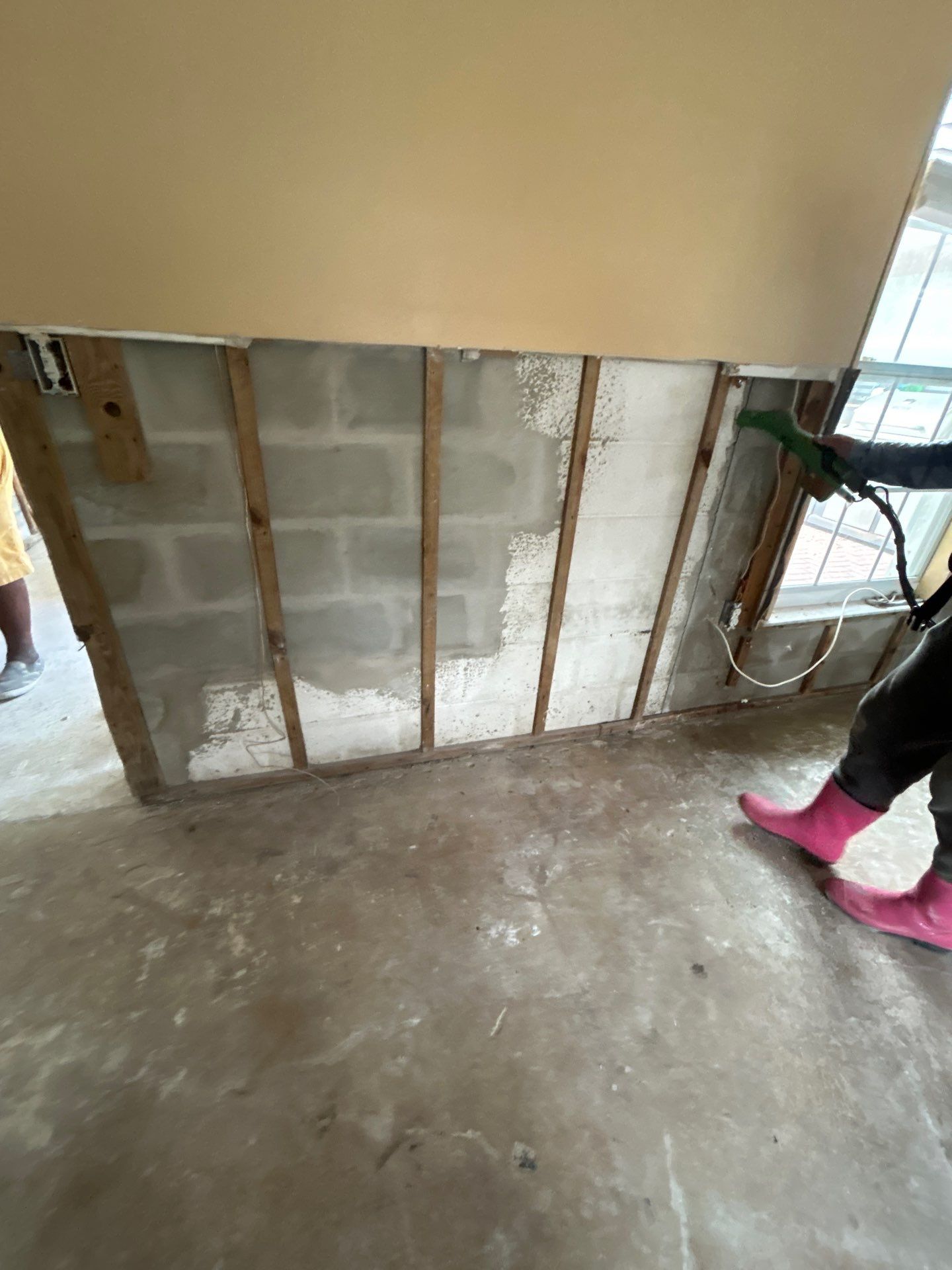 Mold Remediation + Reconstruction Bradenton by Ampm Restoration Services