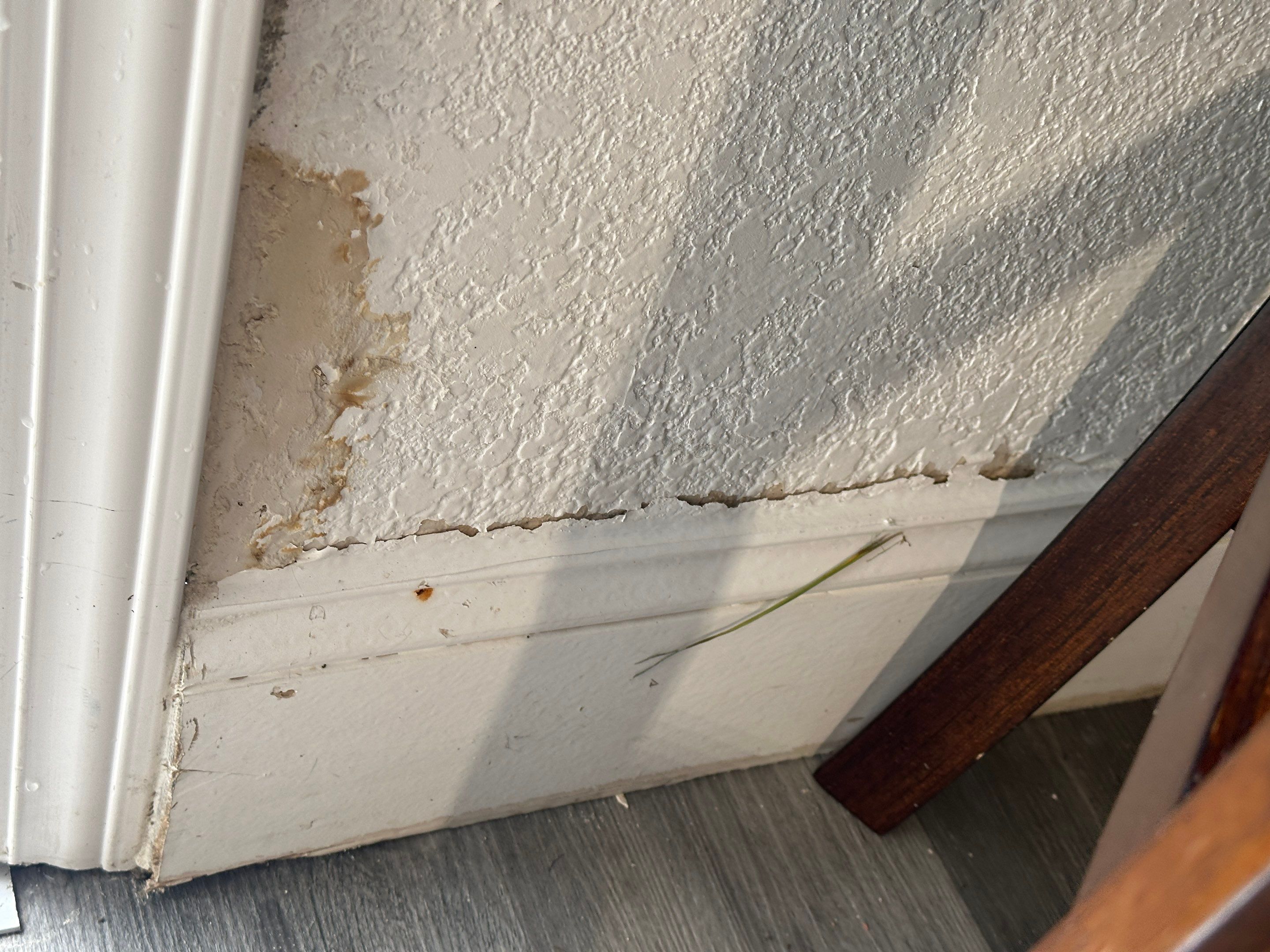 Water Damage Claim in Miami by FLAPA & KeyStone