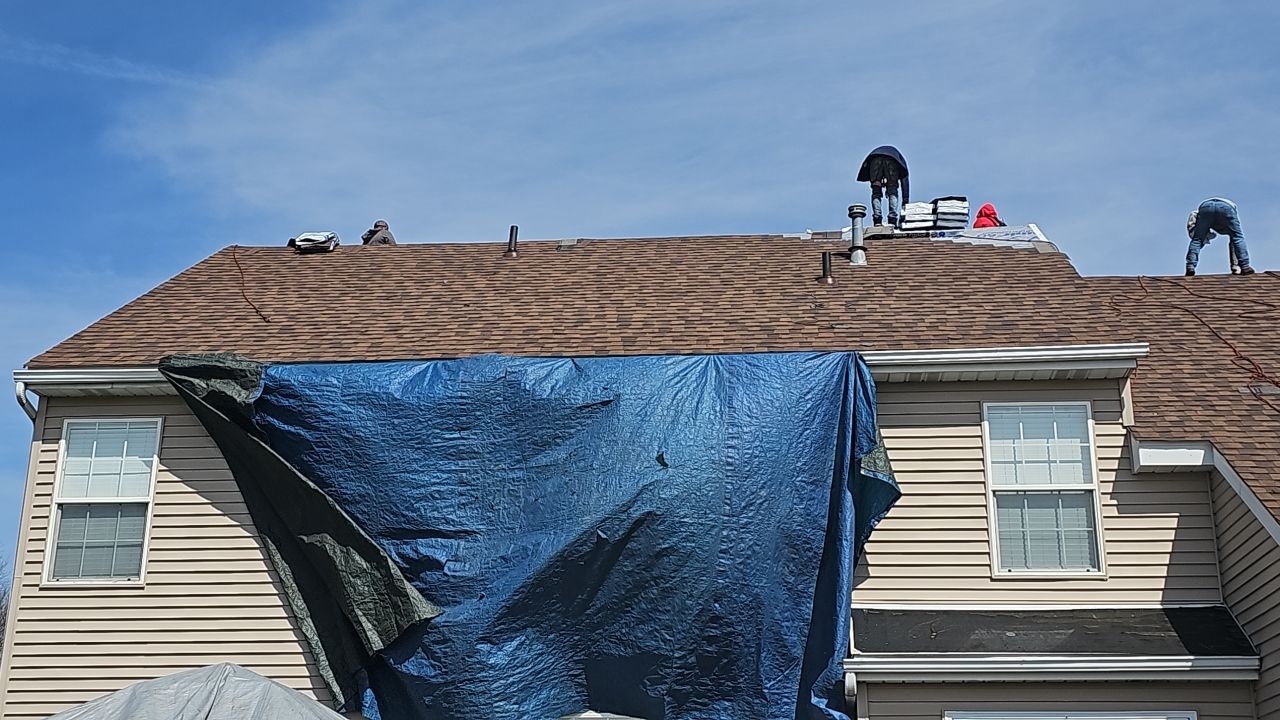 ATLAS PINNACLE COLOR: BURNT HICKORY DRIP EDGE: WHITE by Eagle Eye Roofing