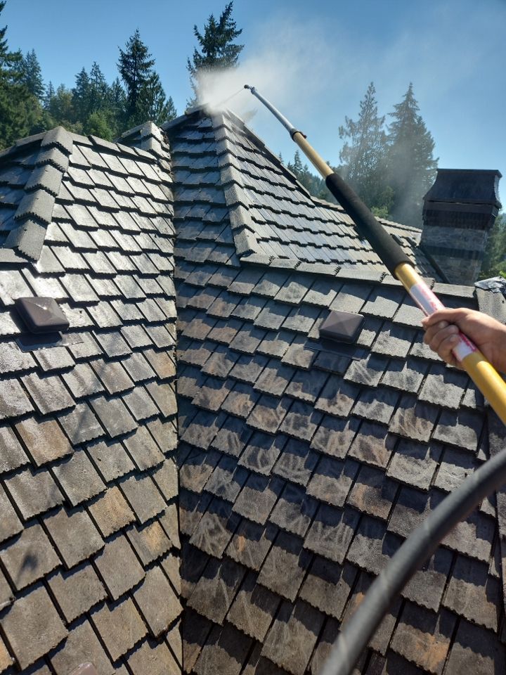 Moss Removal/ Treatment using Biocide by Willamette Outdoor Wash LLC