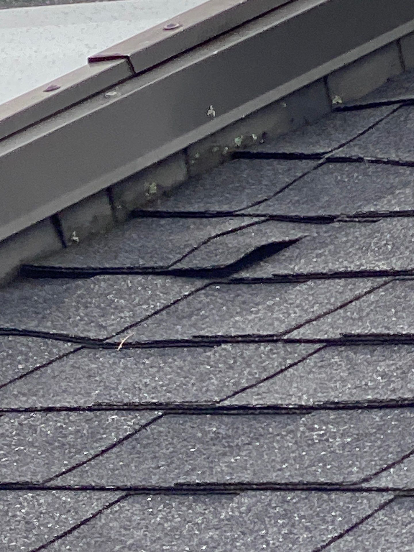 Skylights | Littleton by Mighty Dog Roofing of Greater Middlesex County