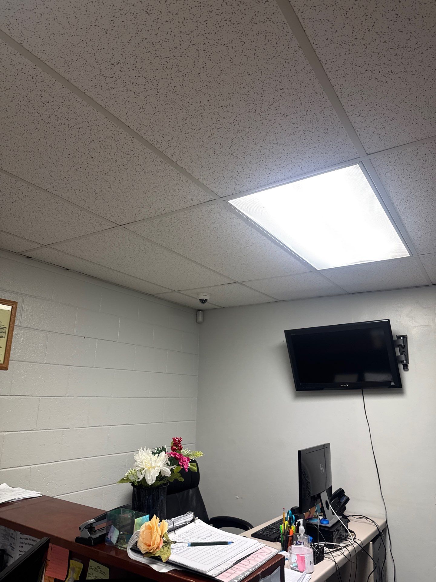 You Need LED LLC featured photo.