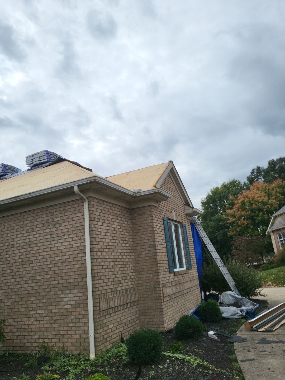 ATLAS PINNACLE COLOR: BLACK SHADOW, DRIP EDGE: BLACK by Eagle Eye Roofing
