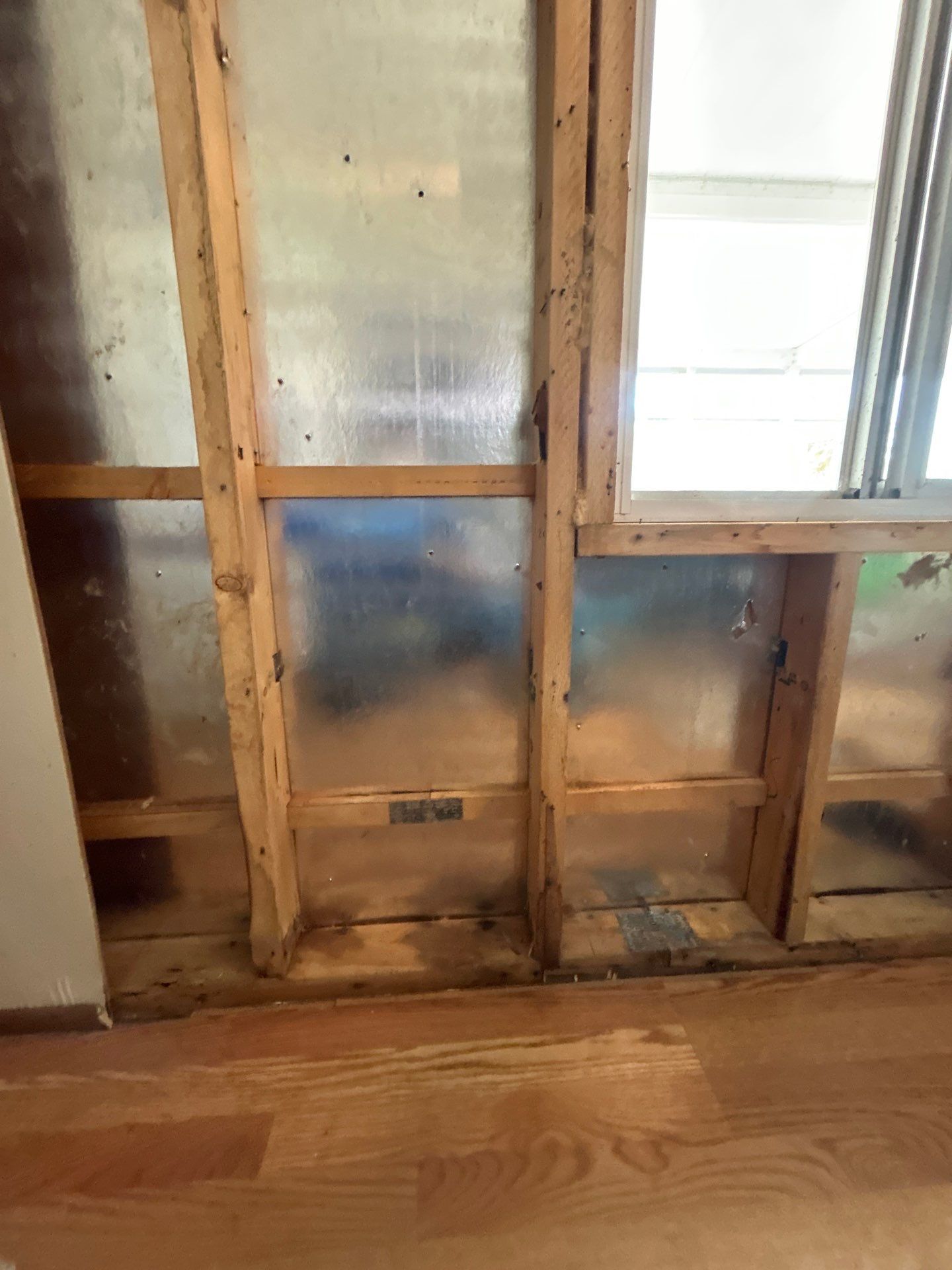 Mold Remediation Bradenton by Ampm Restoration Services 