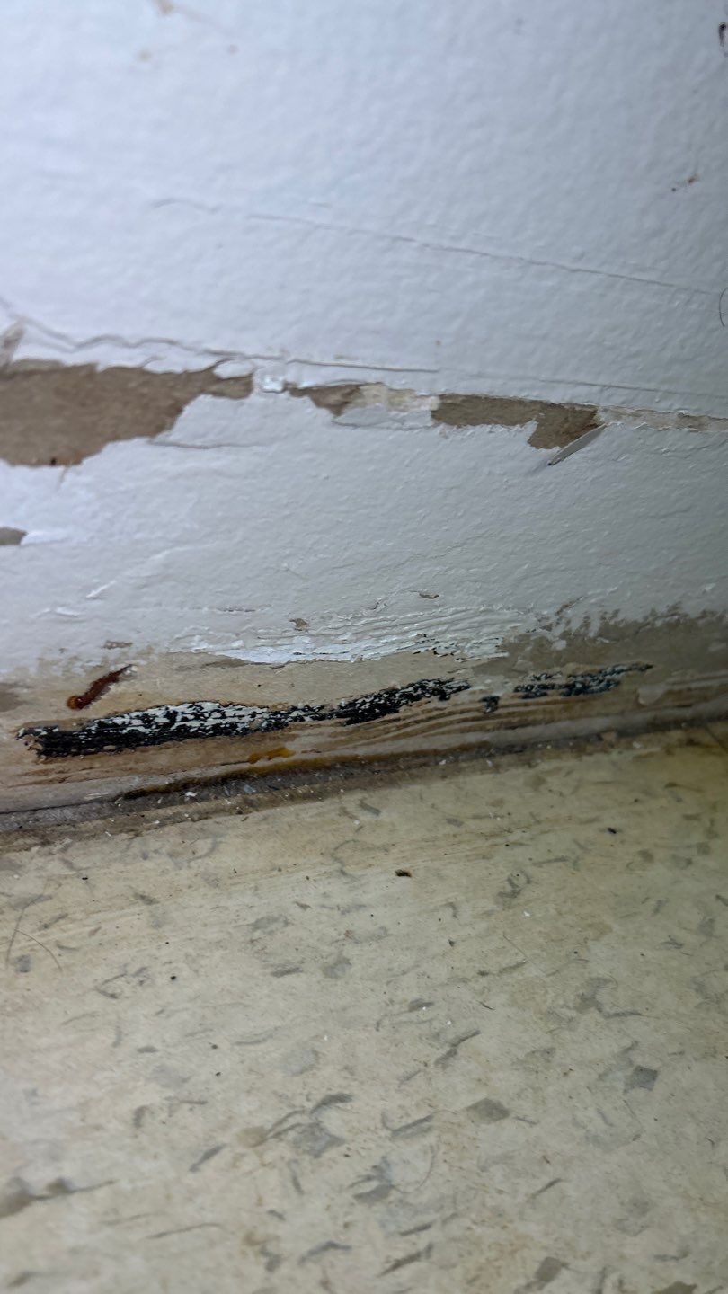 Mold Remediation by Accountable Home Services