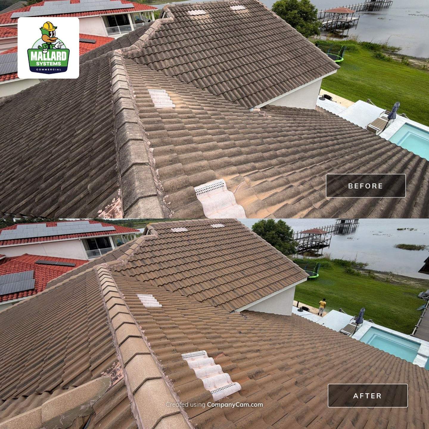 Roof and Exterior Cleaning by Mallard Systems