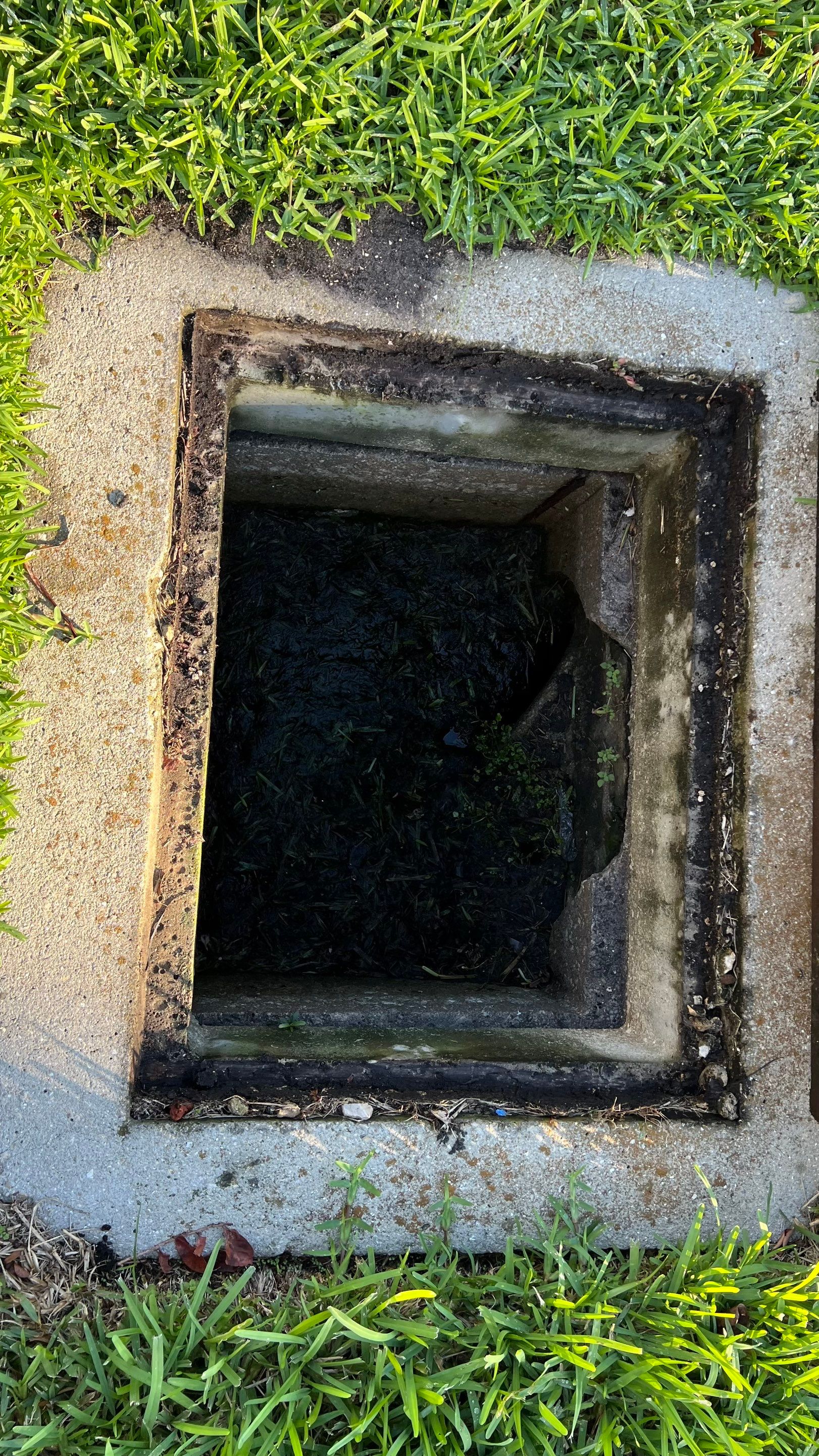Stromwater System Maintenance at Bill Smith Appliances / Critter Cafe Marco Island Catch Basin by Don Mar, Inc. Storm Water Solutions