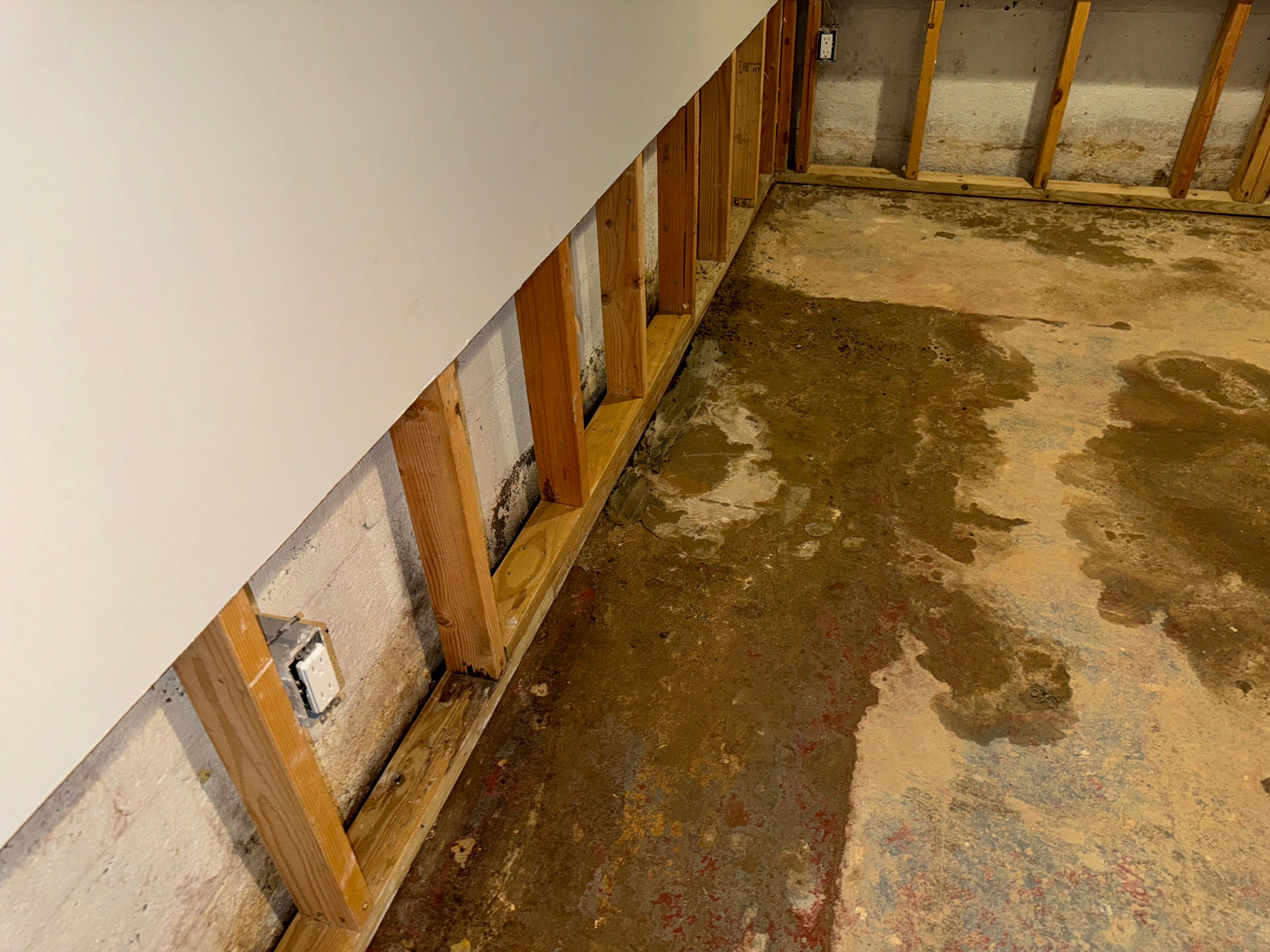 Interior French Drain Livingston NJ by Pure Service Pro, LLC 