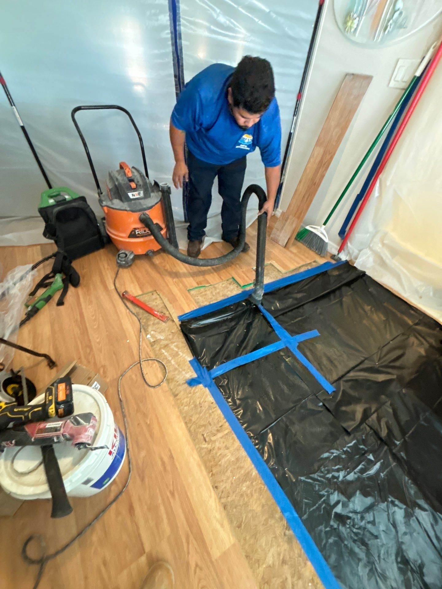 Mold Remediation Palmetto by Ampm Restoration Services 