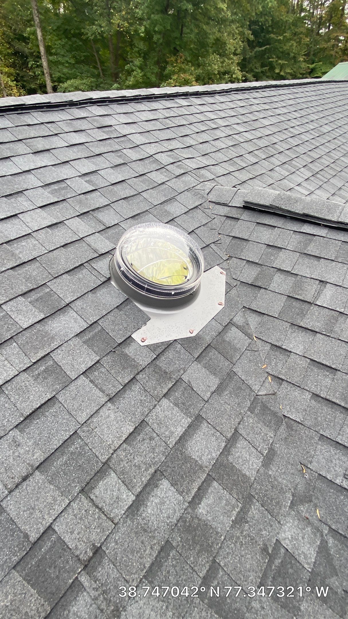 Fairfax Station: Multi-Trade Tree Damage Restoration by RM Banning, Inc.