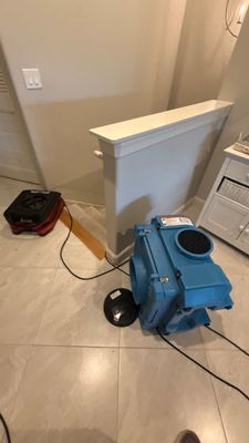 Black Mold Removal — Fort Myers, FL