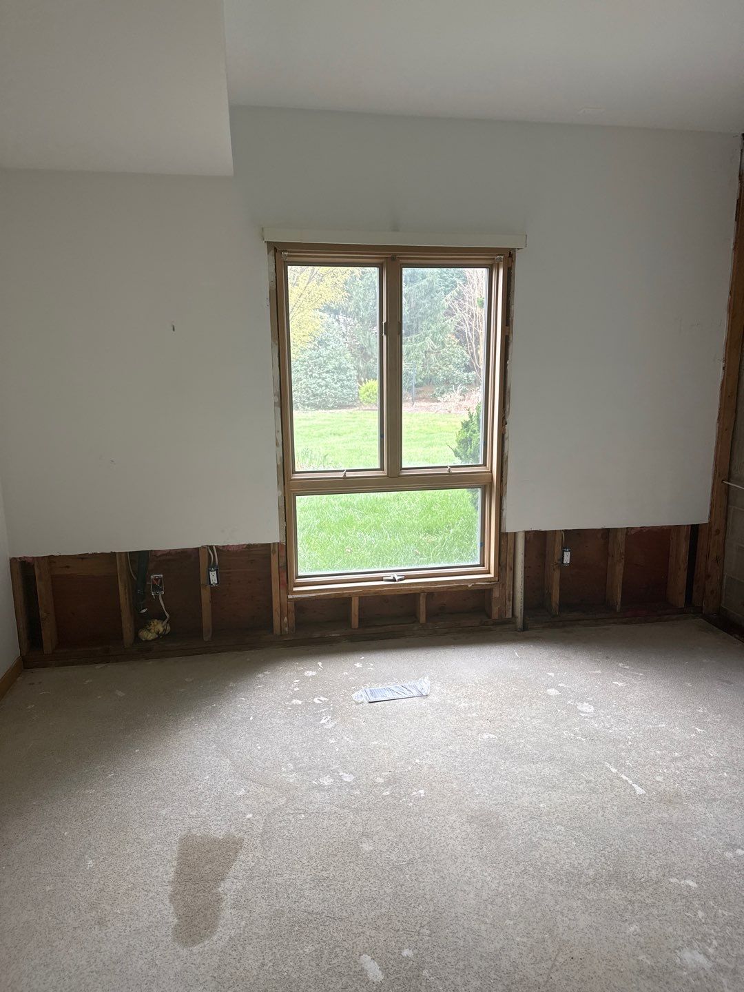 Mold Remediation & Moisture Source Discovery, Middletown, De. by Healthy Home Solutions