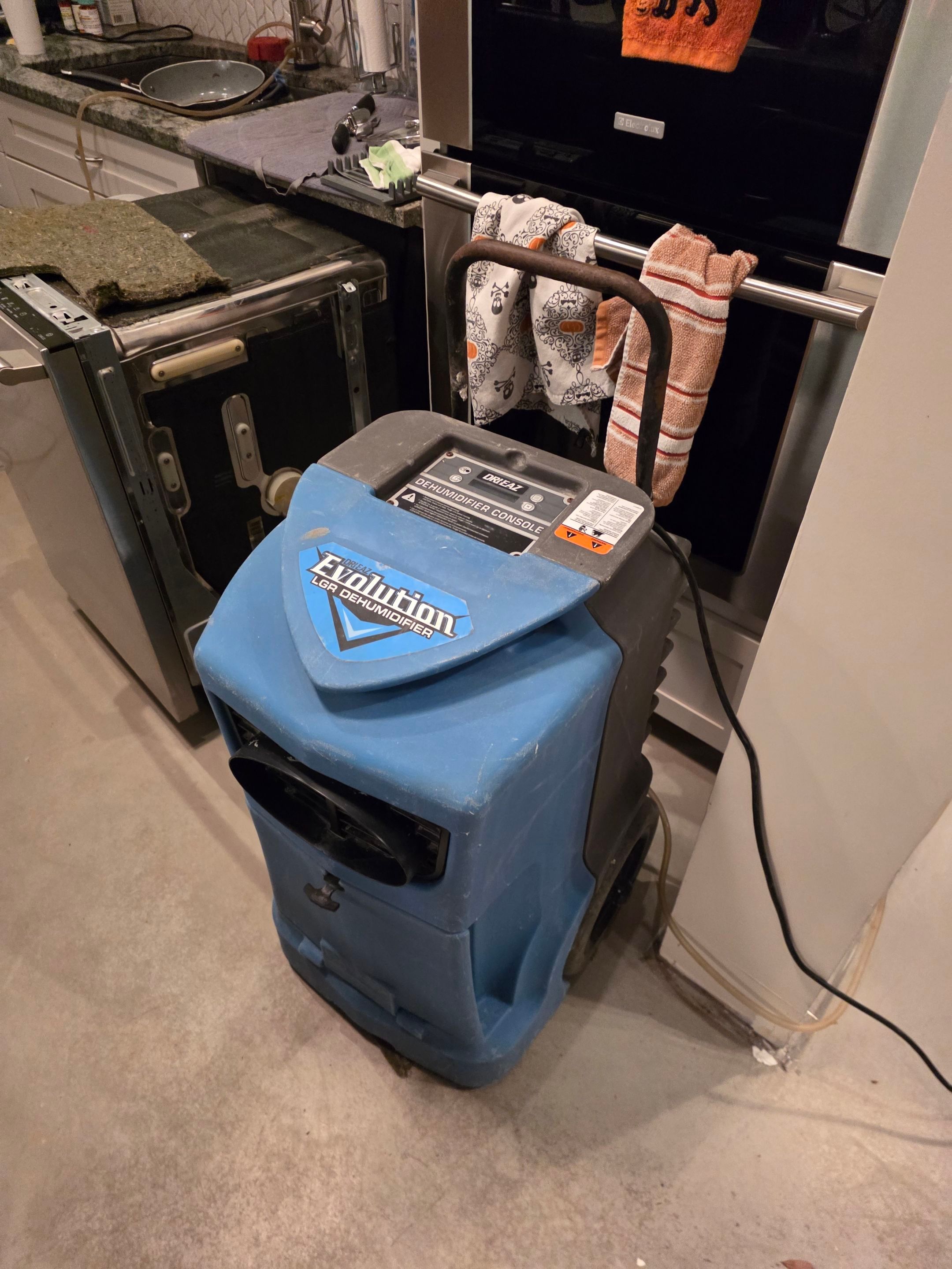 Anna and Allan Branch  by Service Restoration