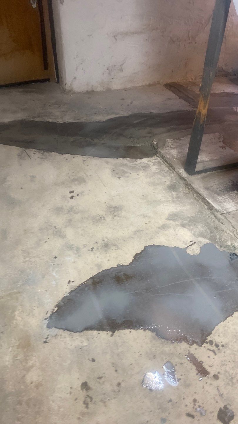 Cat Hospital Project in Pittsburgh by Floors in a Day, Inc