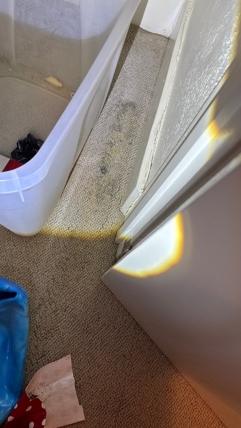 Mold Project in Englewood by Accountable Home Services