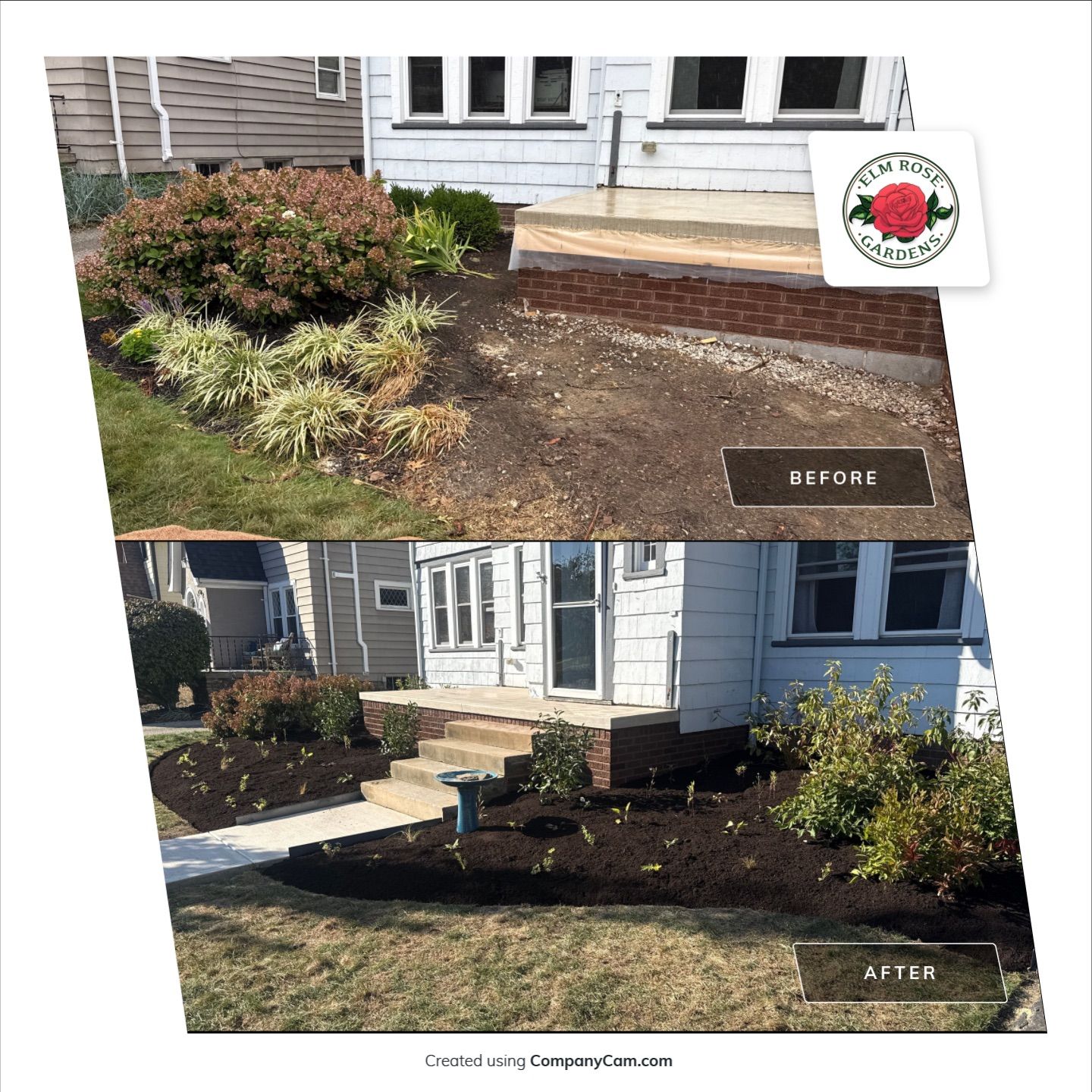 Ohio Native Meadow by Elm Rose Gardens