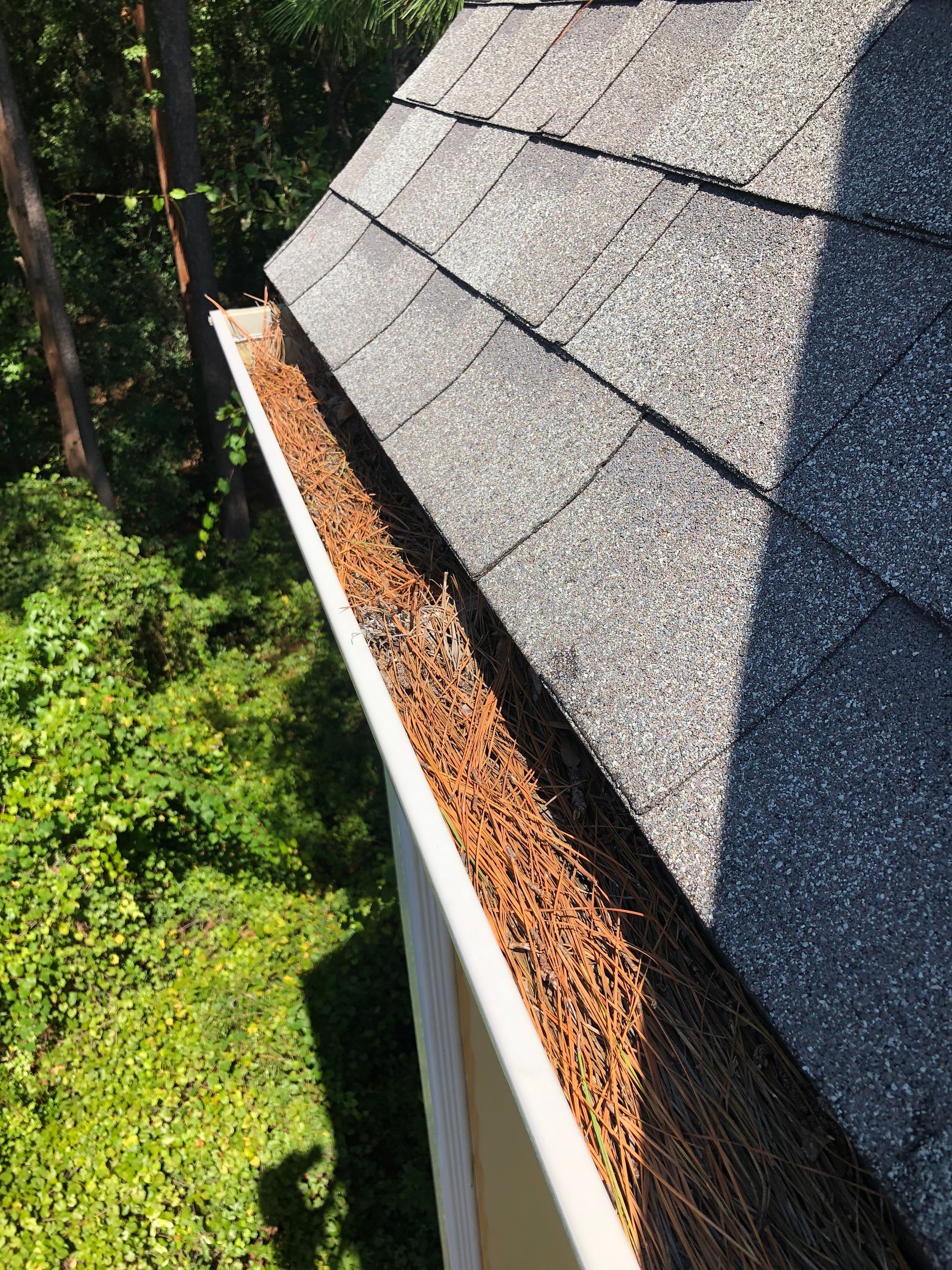 Commercial gutter cleaning Myrtle Beach before photo with filled gutters