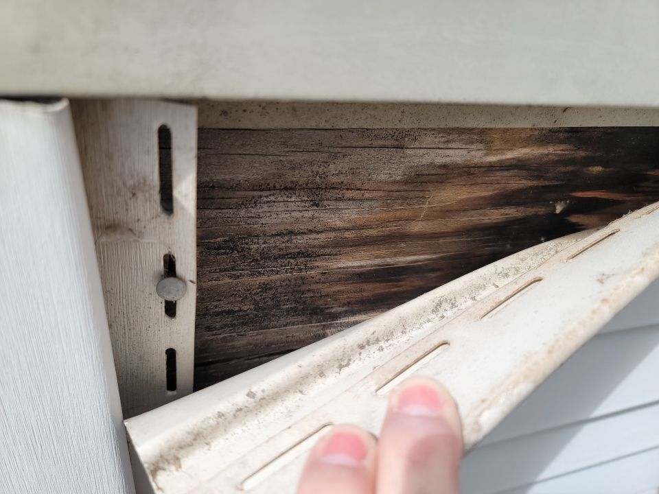 Brand: Atlas Pinnacle Color: Pristine Scotchgard Weathered Shadow Drip: Musket Brown by Eagle Eye Roofing