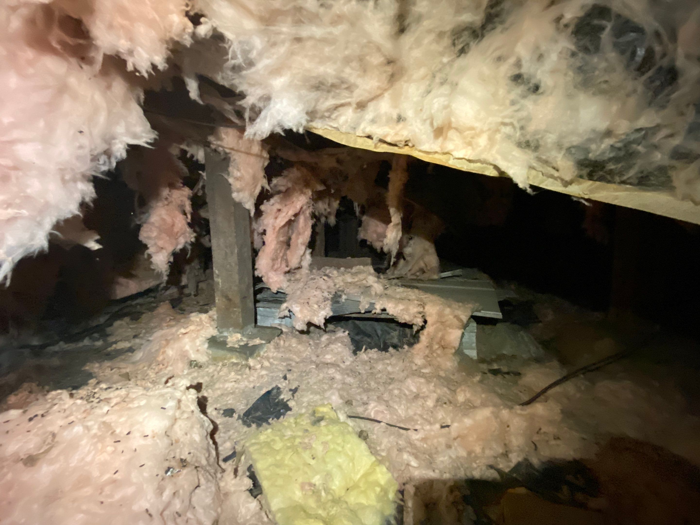 Crawlspace Transformation by Hausmeister Home Services INC