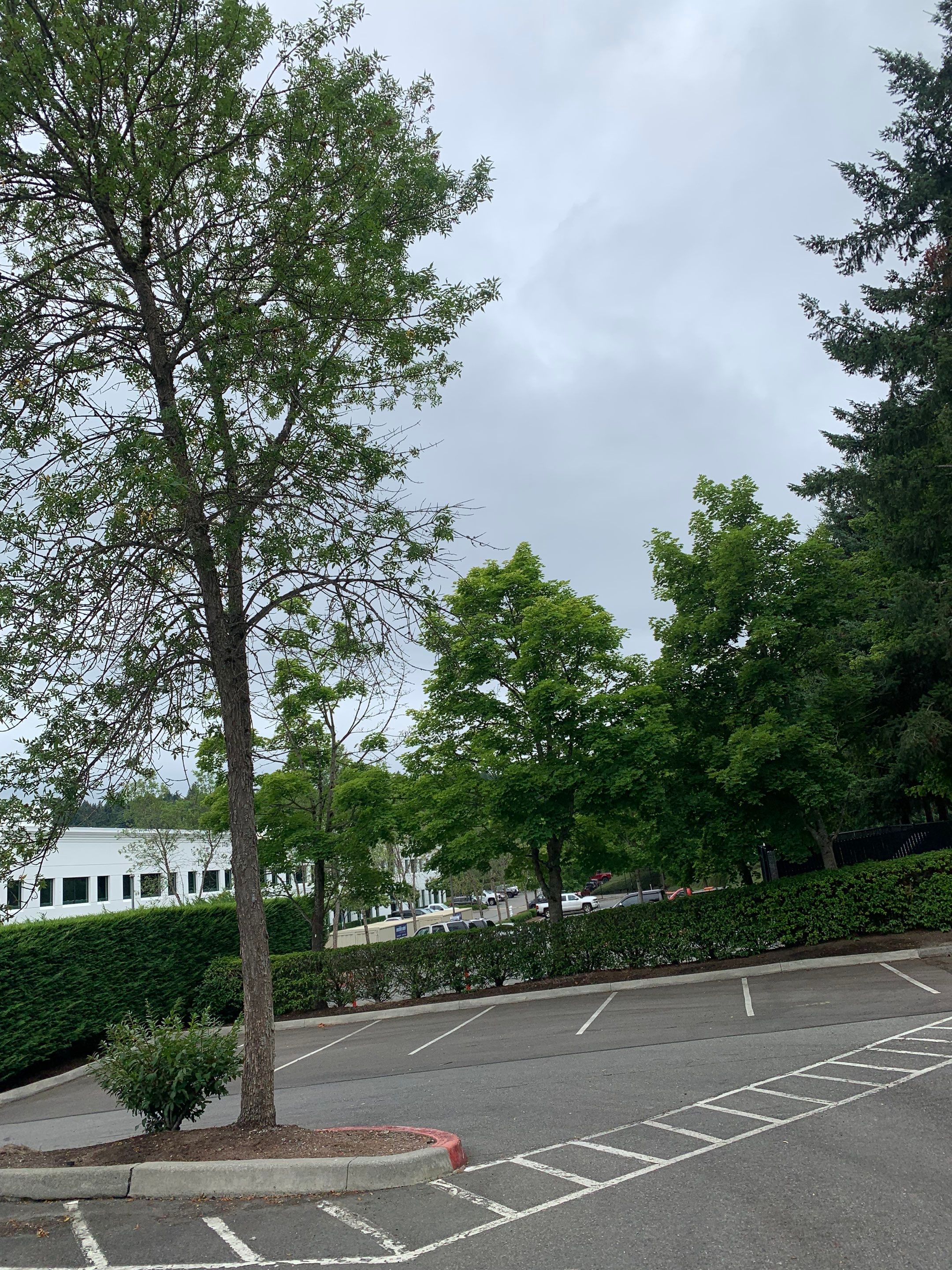 BN Builders | Asphalt Parking Lot by Jireh Asphalt & Concrete Inc 