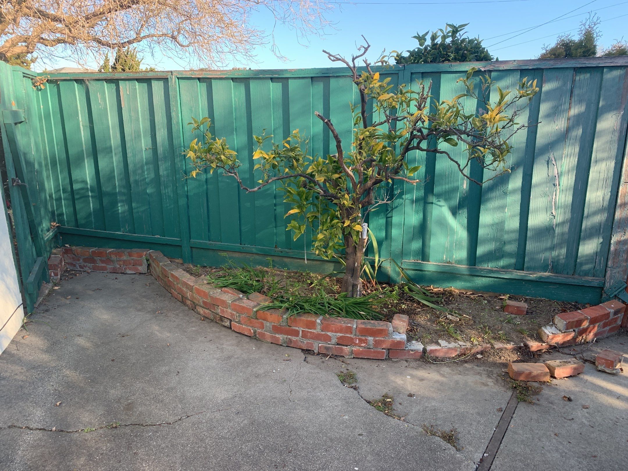 Donna Young’s Home by SpotFree Window Cleaning