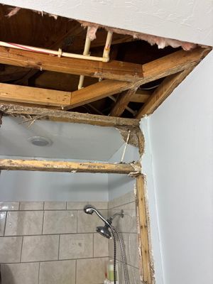 Water Damage Restoration — Naples, FL