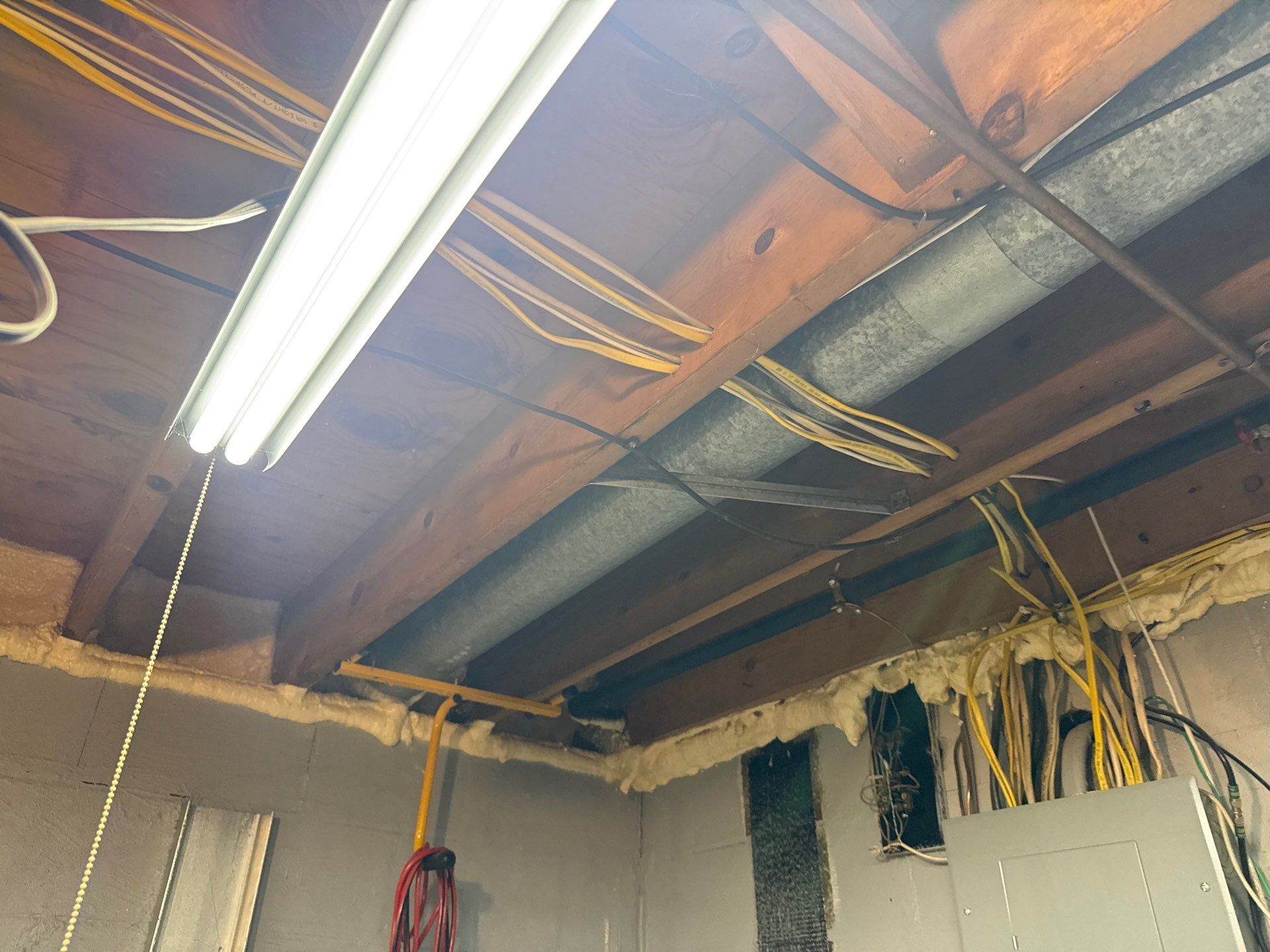 Rodent clean up and sanitation in Pittsburgh, PA 15237 by Home Environment Solutions