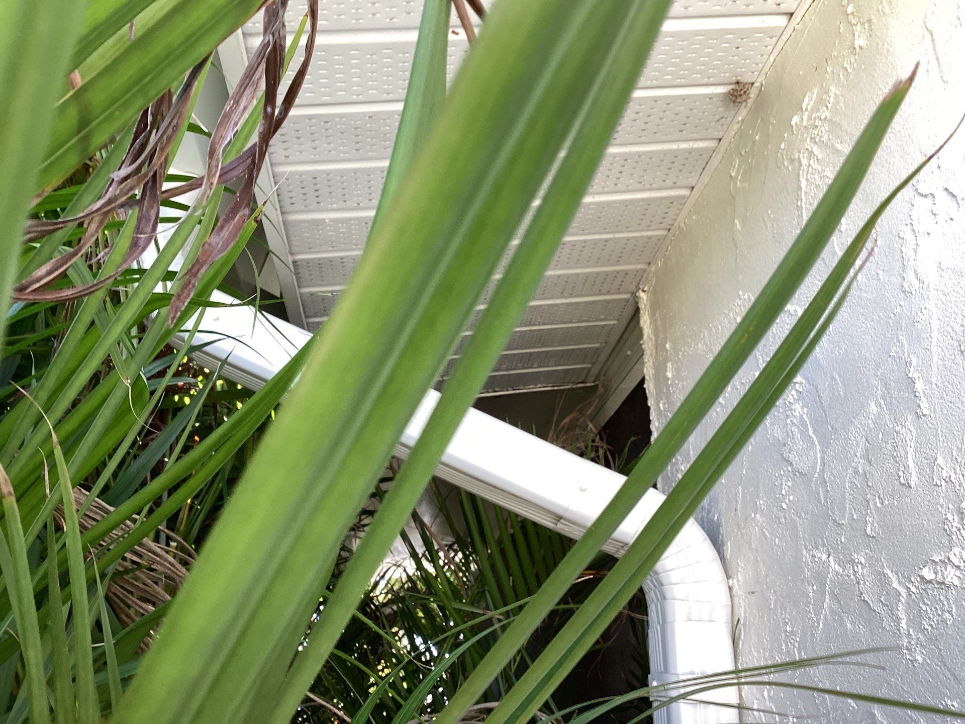 Vinyl Soffit and Fascia Refresh in St James City FL by Gutter Professors