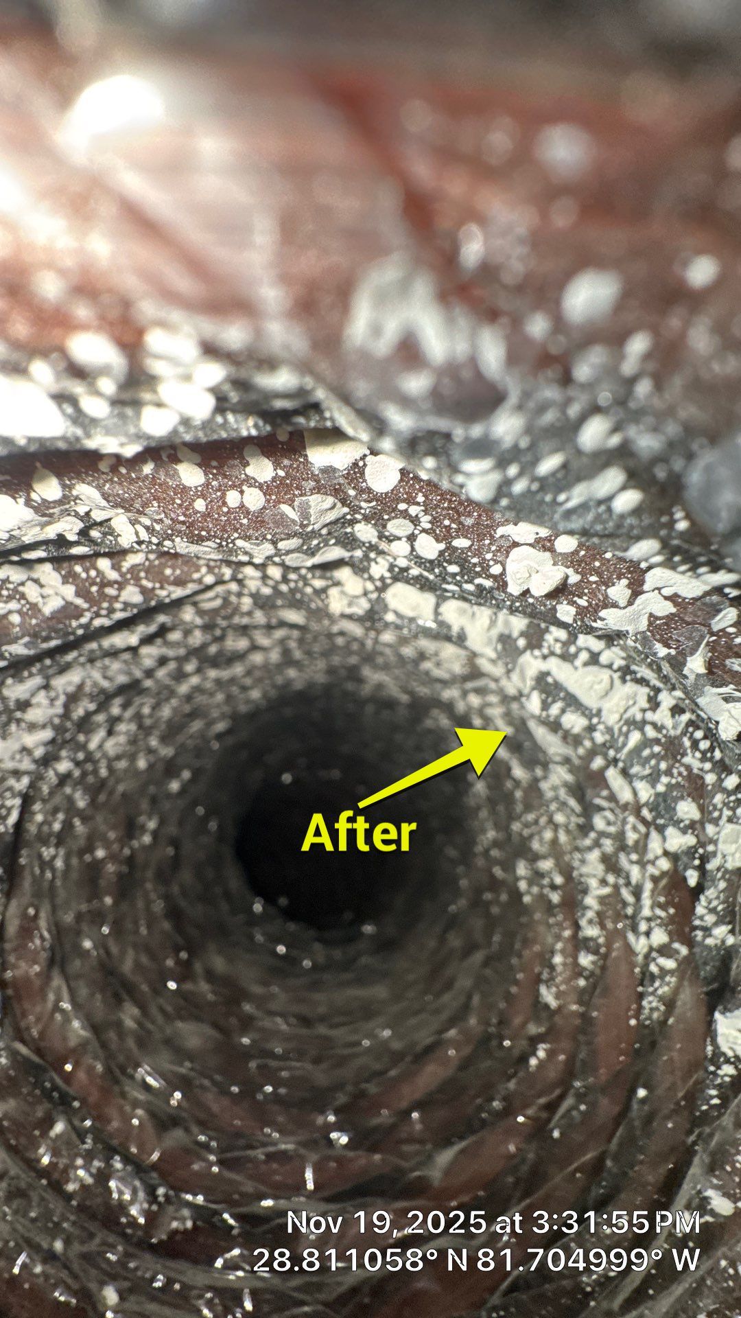 Air Duct Cleaning in Tavares by Hygienic Air, Inc