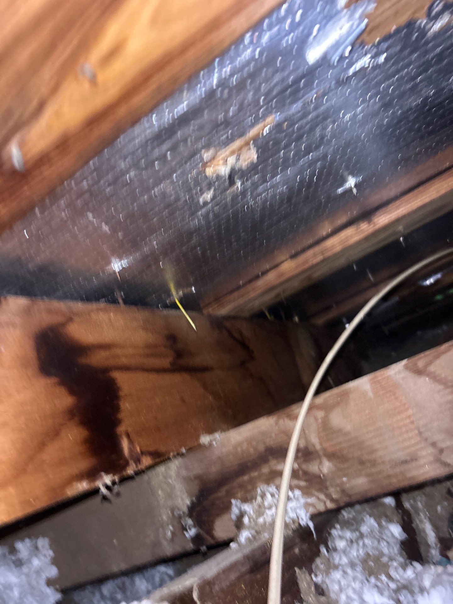 Roof Repair Houston by Roof Repair Services LLC