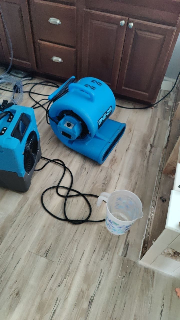 Water Damage  by Accountable Home Services