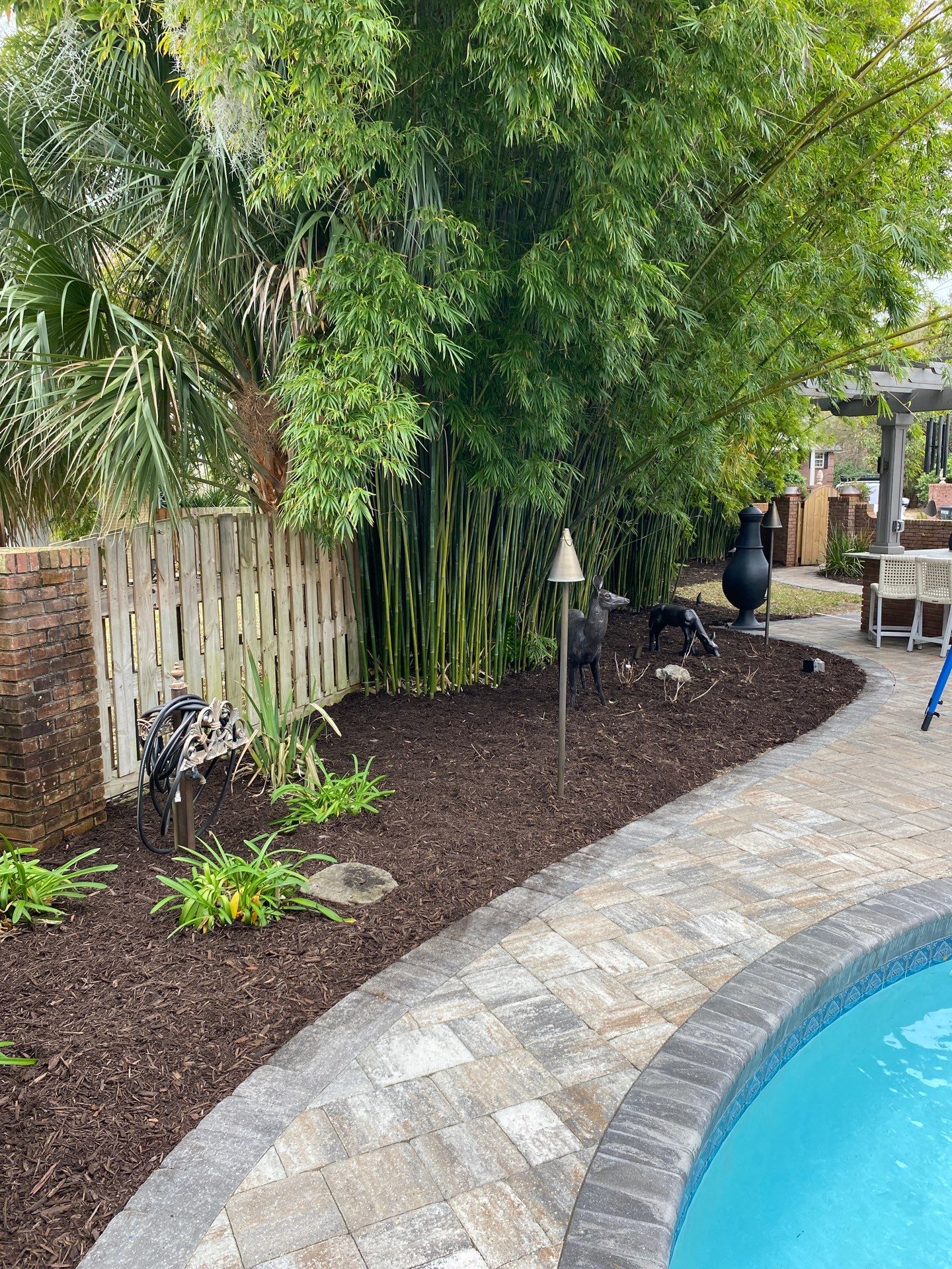 Deerwood Resident | Tree Removal & Mulch Install by ProGreen Services