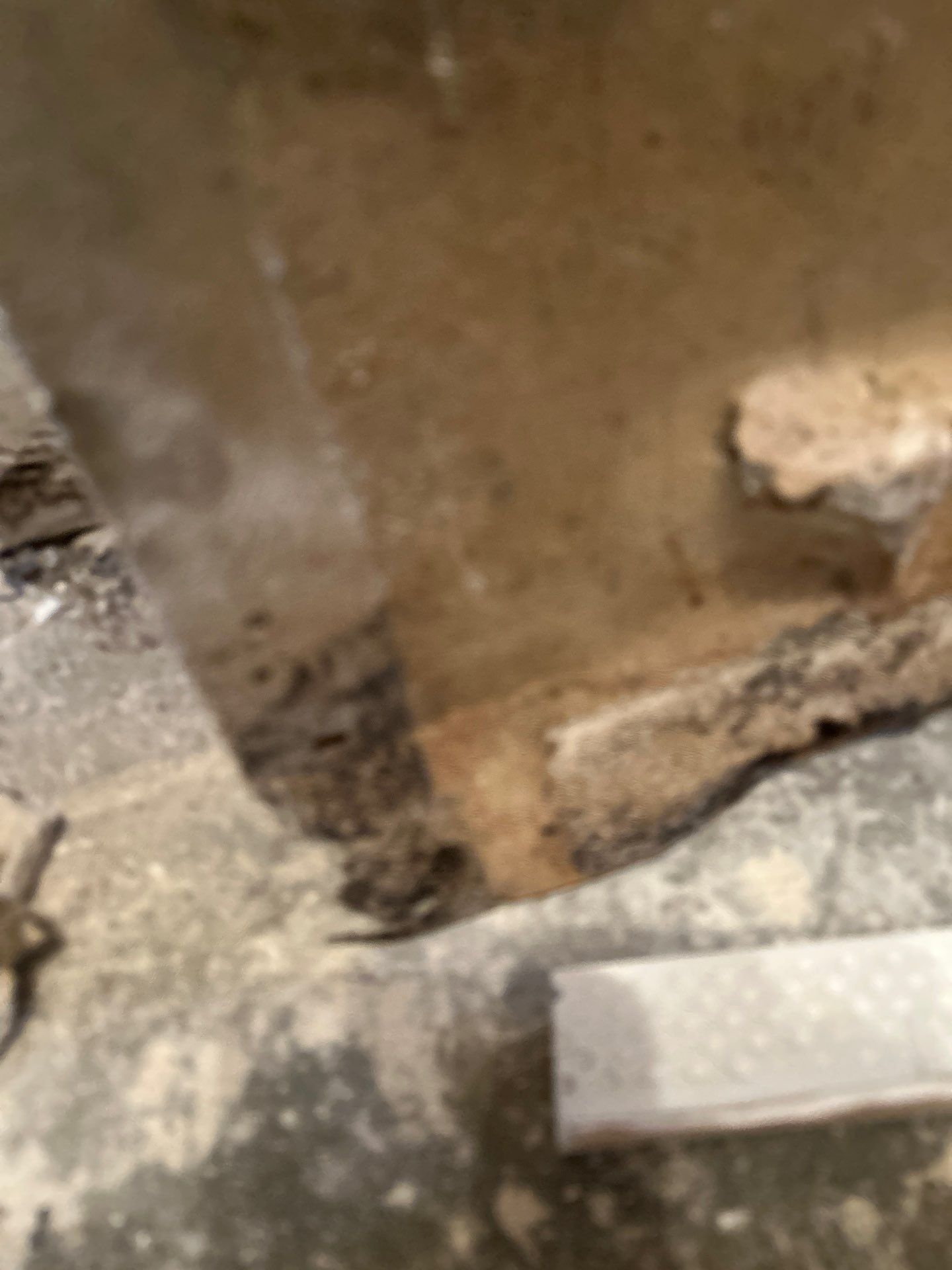 Black Mold Removal In Venice Florida by Ampm Restoration Services