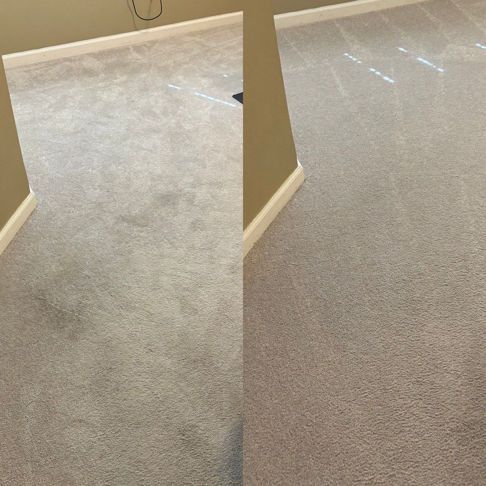 the service shown is carpet cleaning resulting in noticeably cleaner and refreshed carpet surfaces