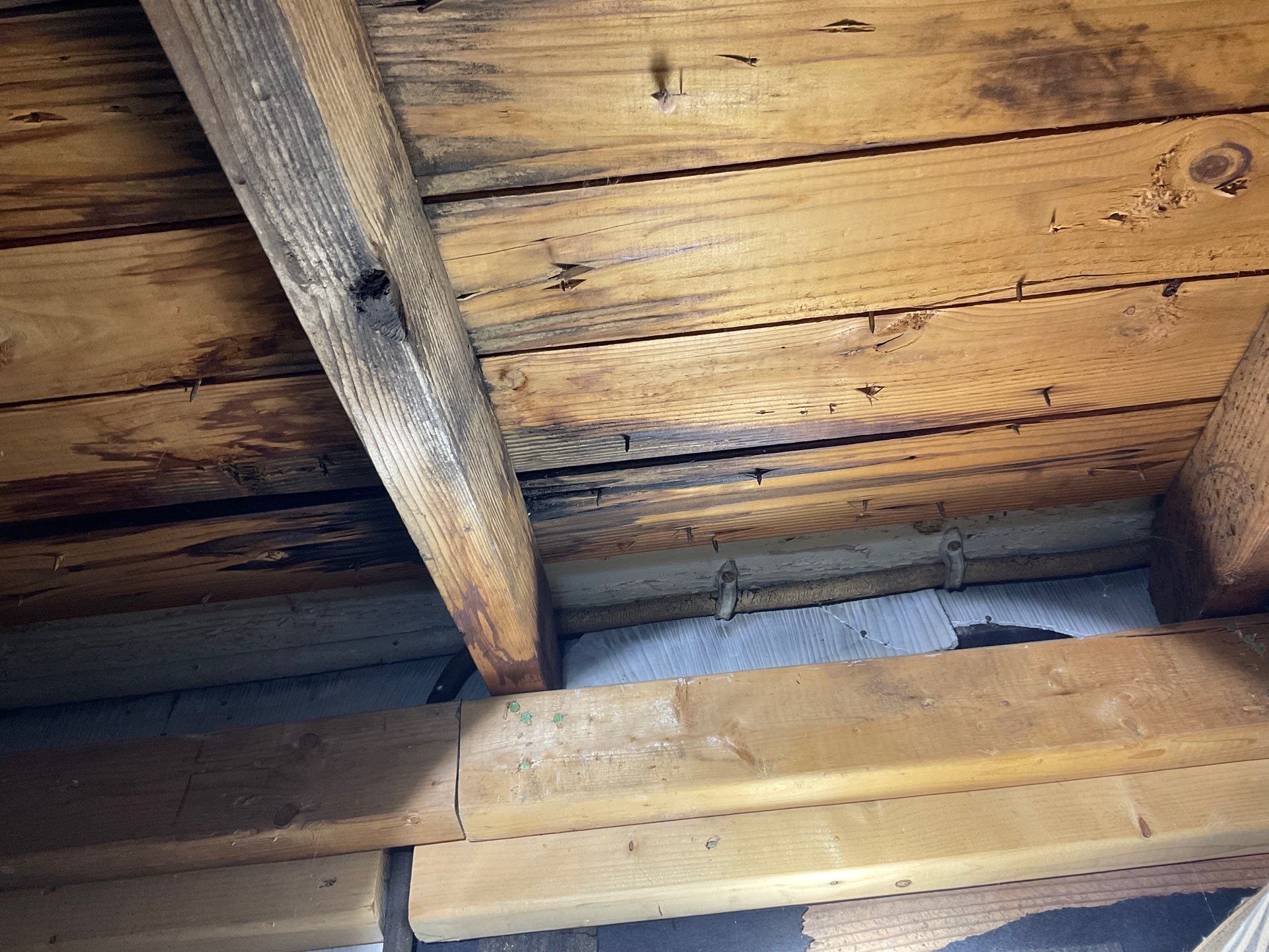 Roof Repair  by Alpha Design Services