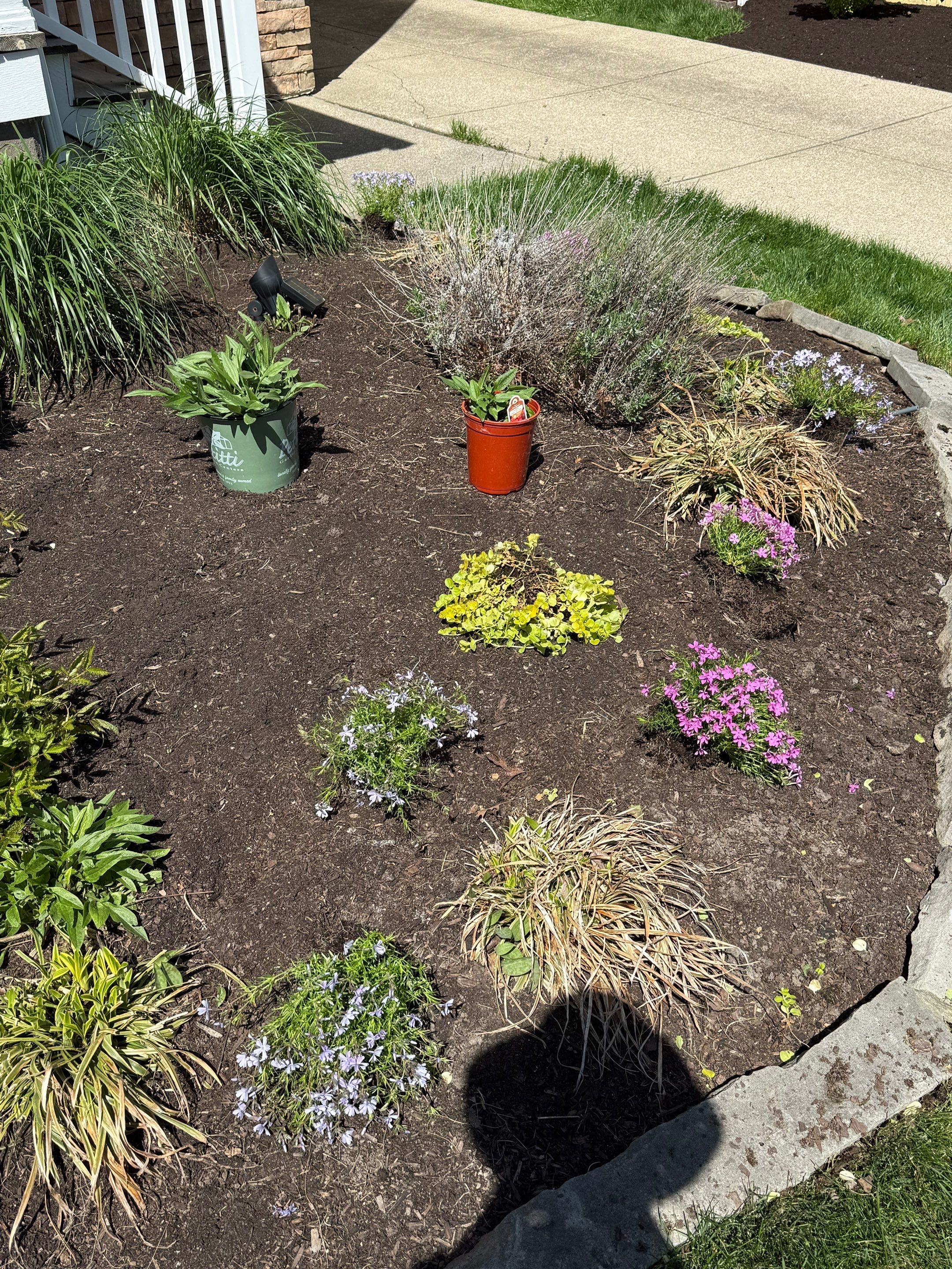 Colorful Cottage Install by Elm Rose Gardens