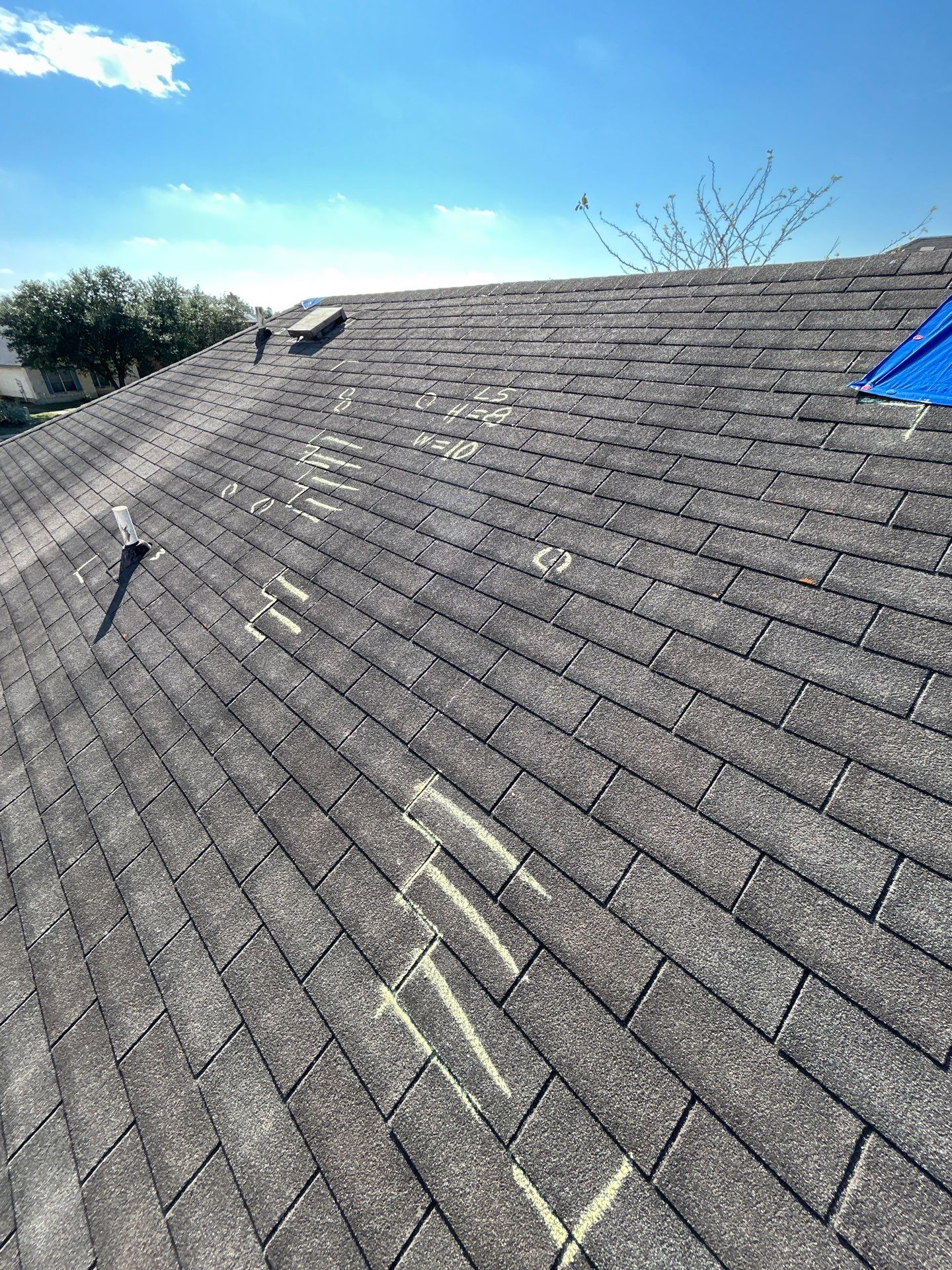 Miss Bridgette by REPS Austin Area Roofer