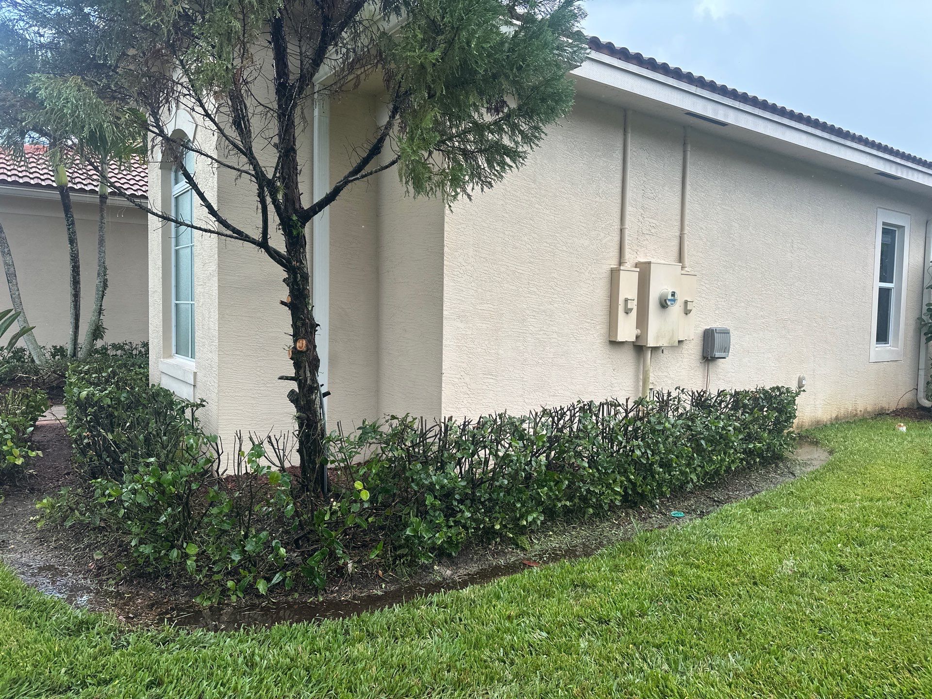 From Overgrown to Picture-Perfect - Stuart Refresh by Alpha Zeta Enterprises Inc