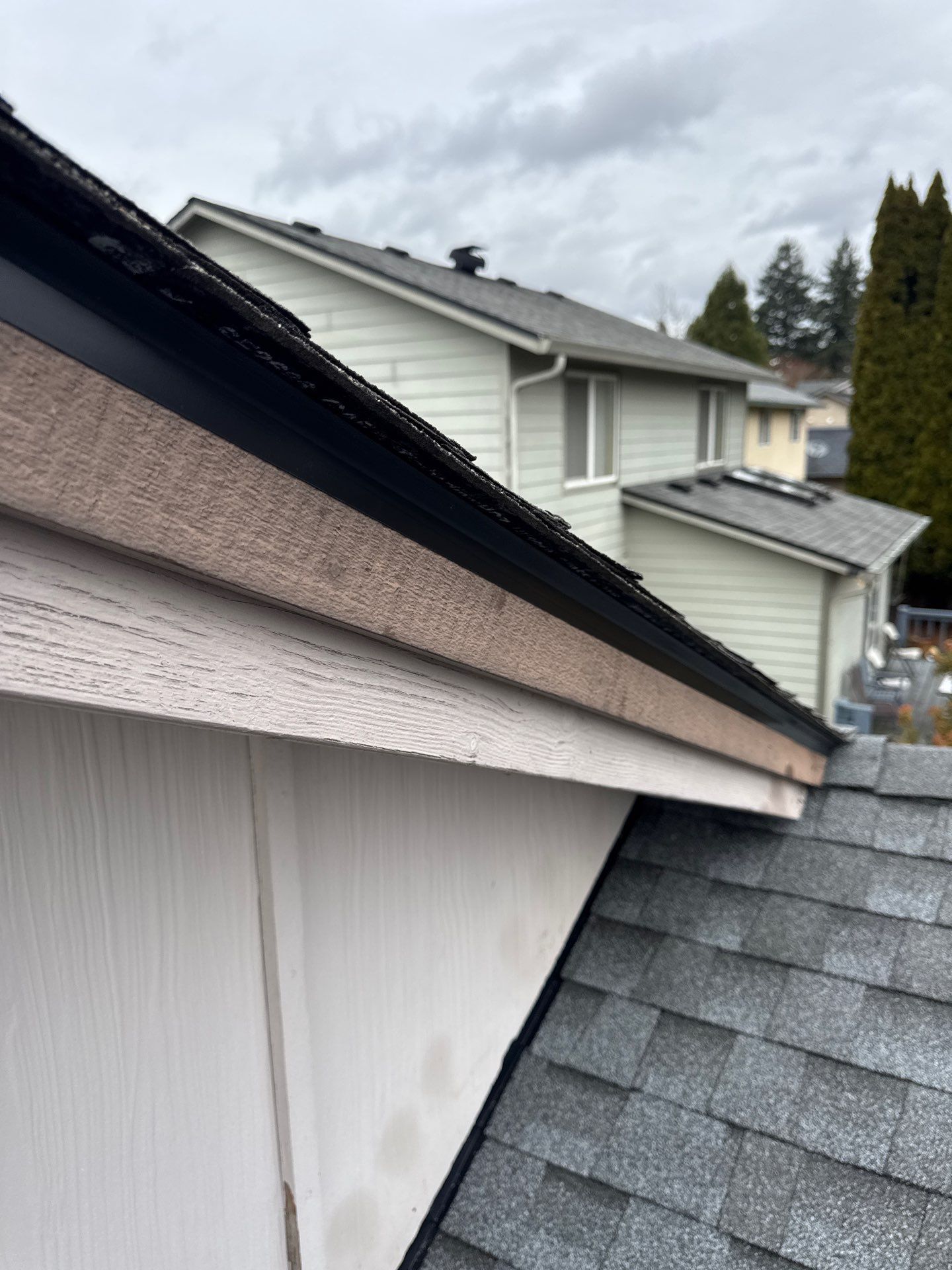 Project in Vancouver 