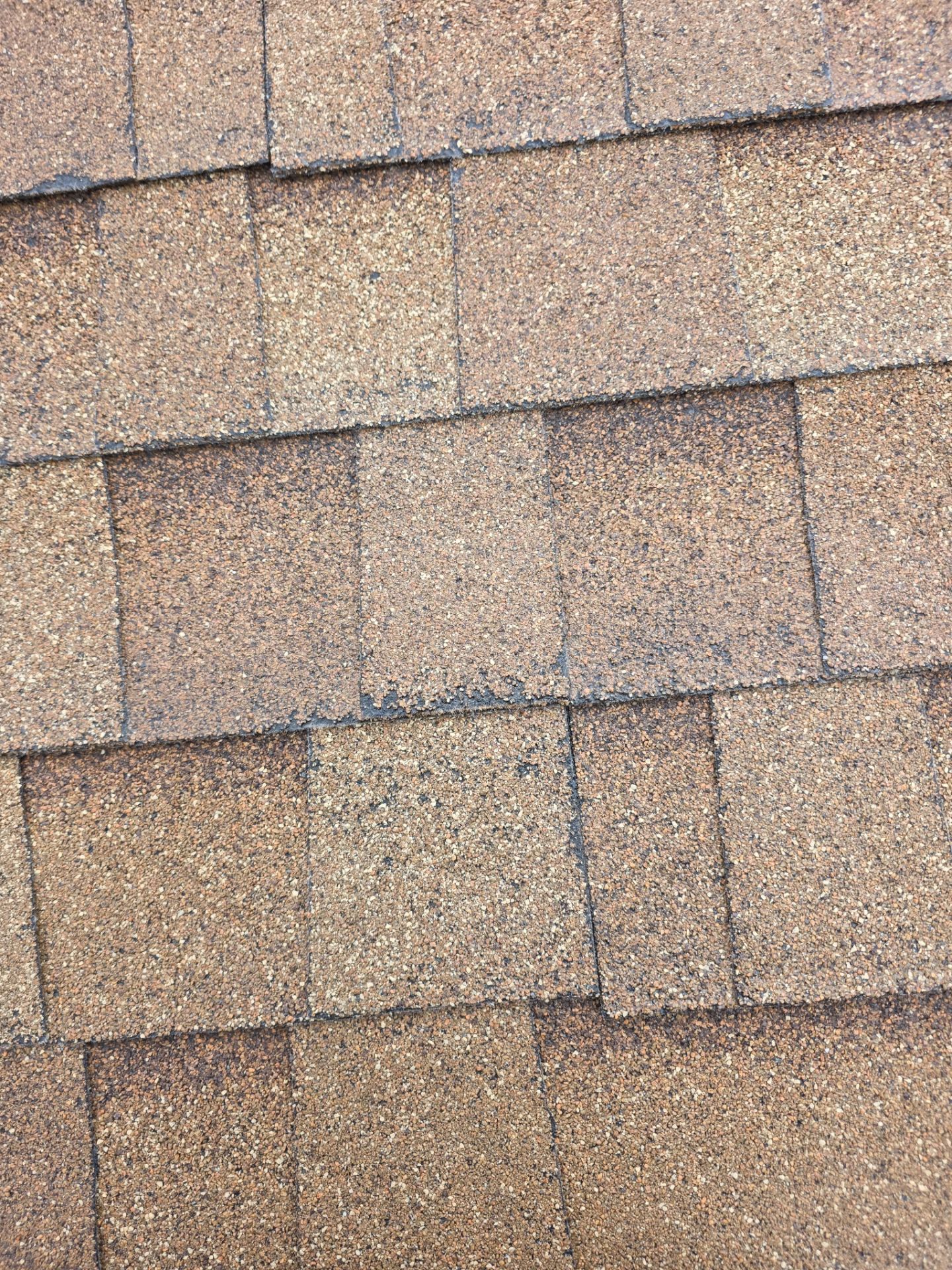 Roof Rejuvenation using Roof Maxx Treatment by Roof Maxx of Folsom