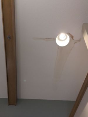 Exterior & Interior Repairs
