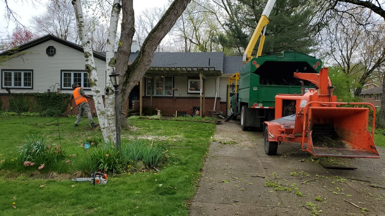 Tree Removal using Tree Removal by Mike Jones & Sons Tree Service LLC 