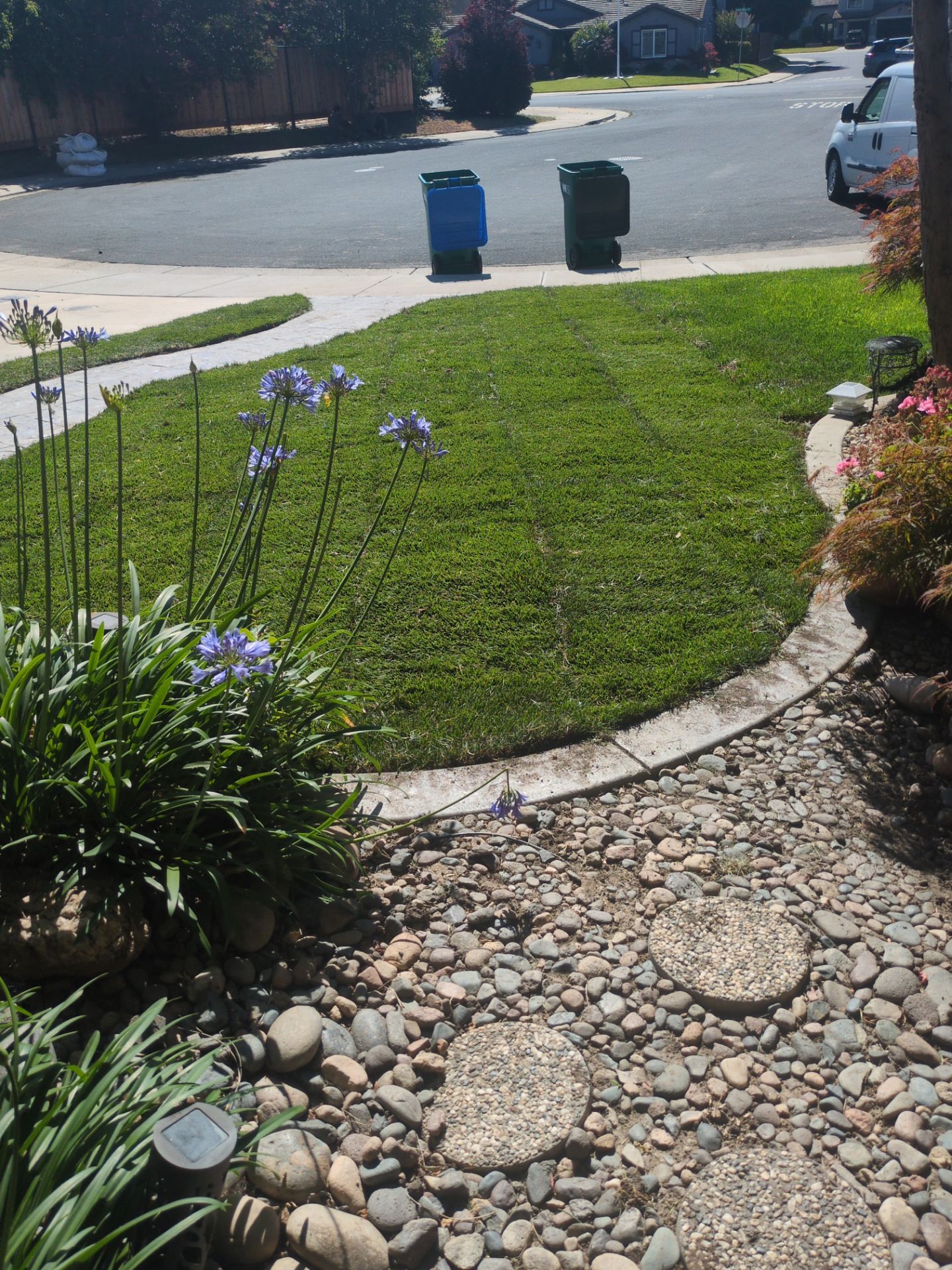 Project in Stockton by A - G Sod Farms