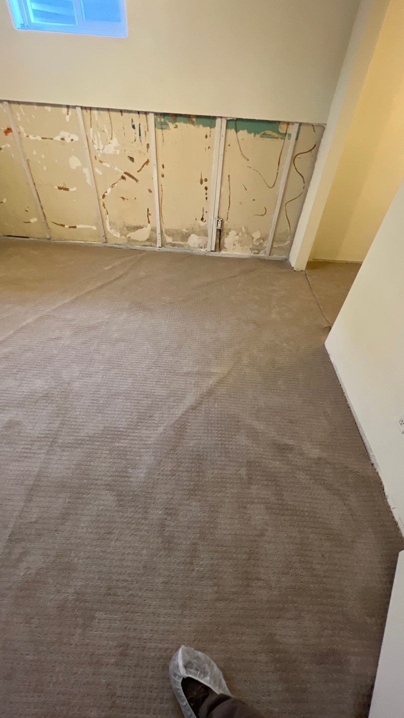 Mold Remediation by Accountable Home Services