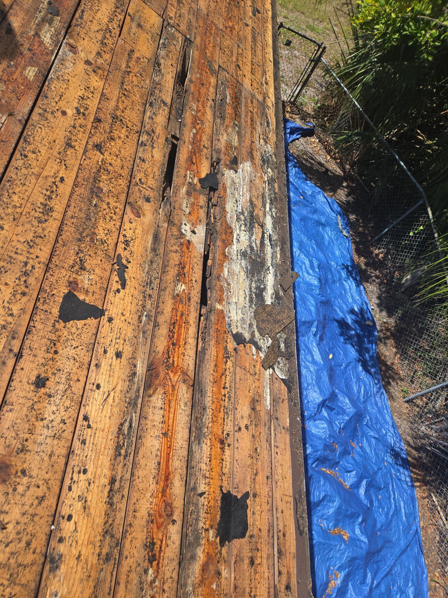 Project in St. Petersburg 33705 by Mitchell Roofing Company LLC 