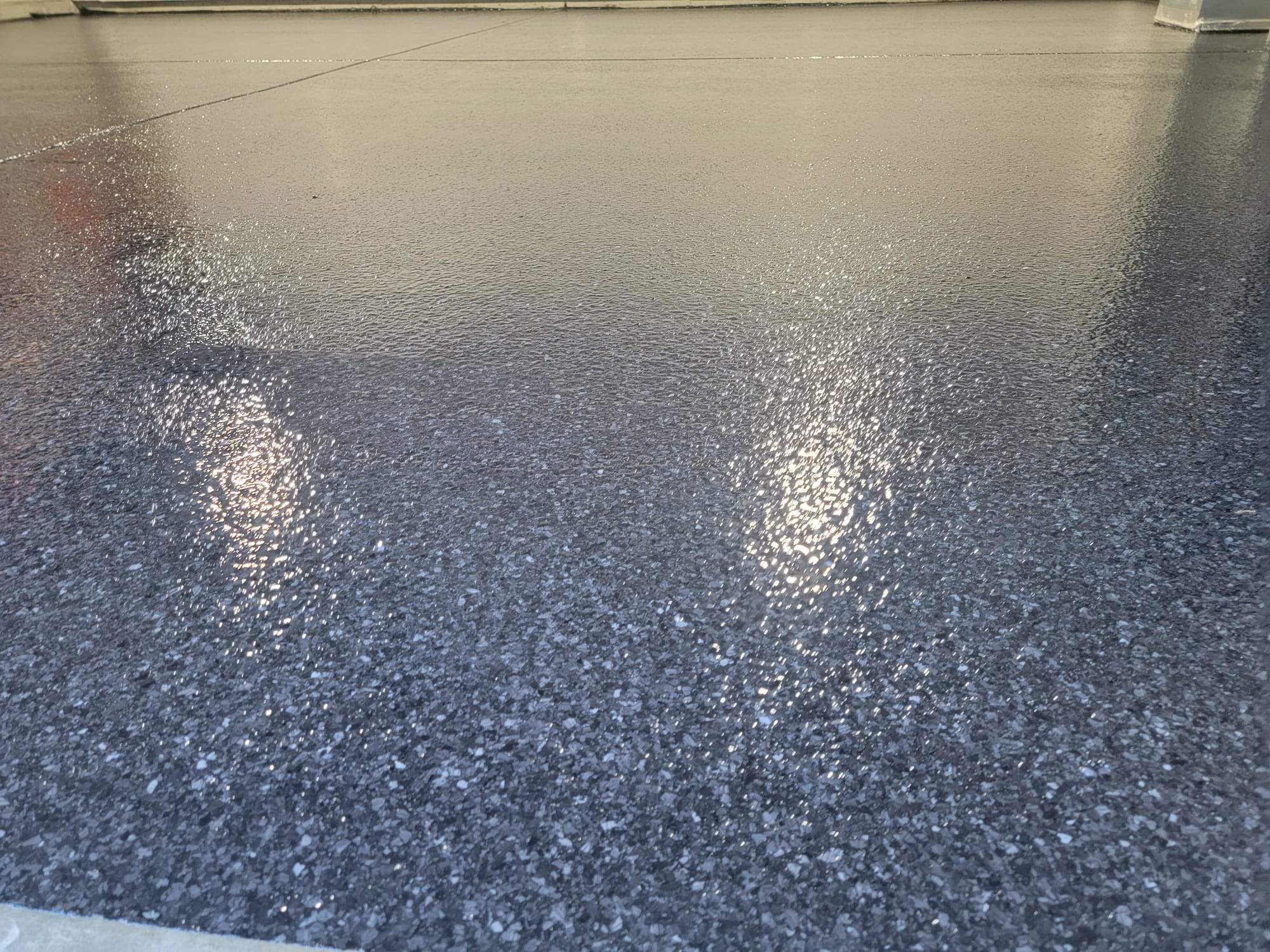 Carbon Flake Garage Shelton Wa by Concrete Coating Experts Inc.